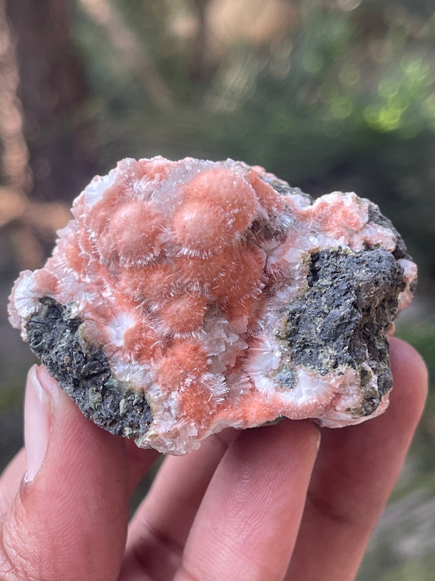 Orange mesolite