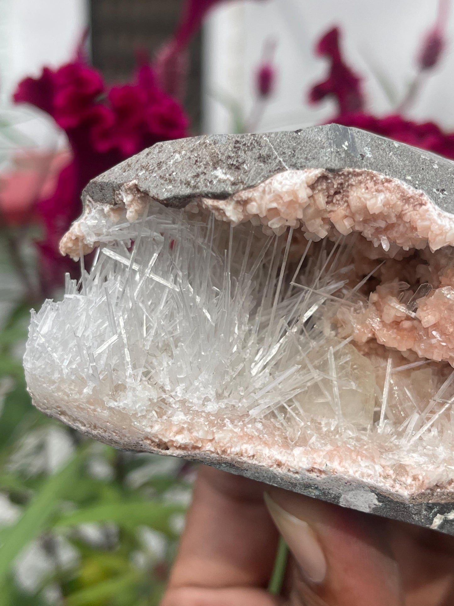 Scolecite spray with stilbite crystal inside orange heulandite geode