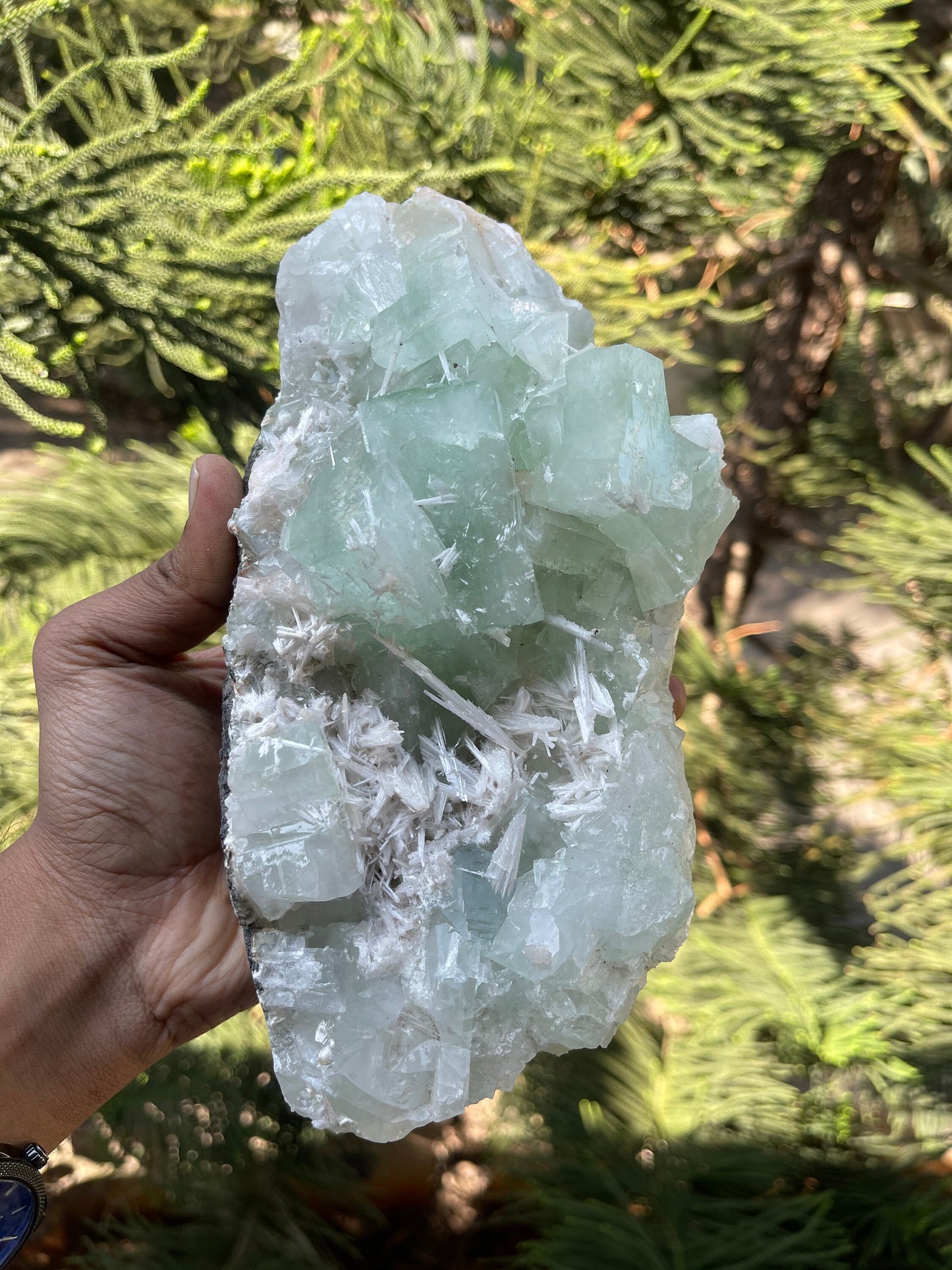 Green cubicle apophyllite with scolecite minerals specimen