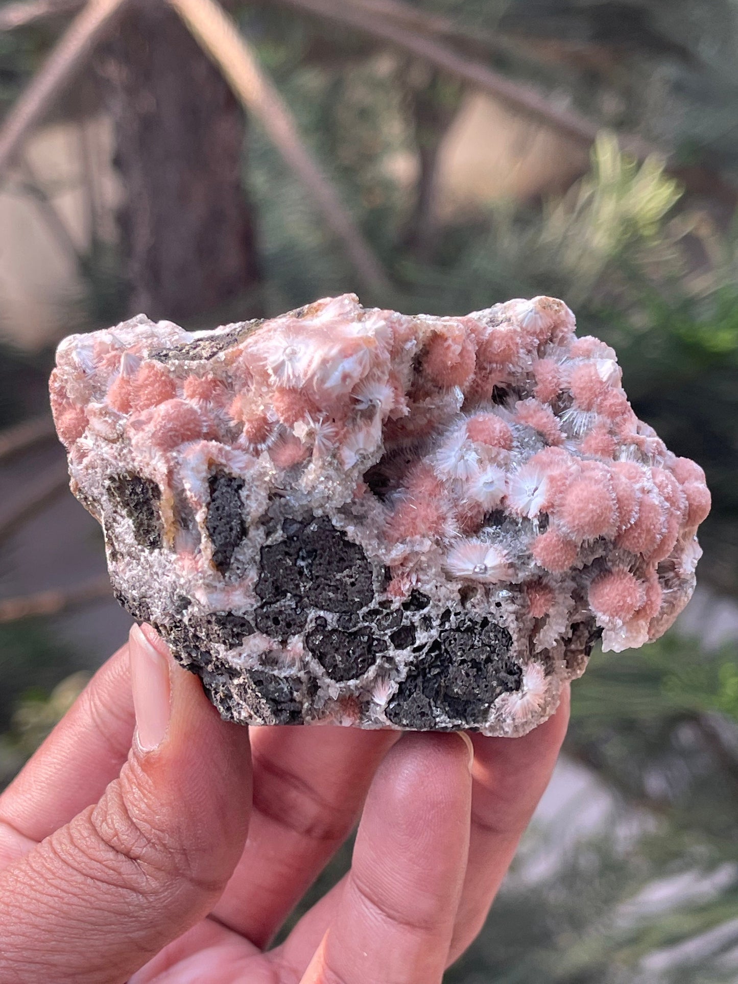 Multiple orange mesolite ball on matrix