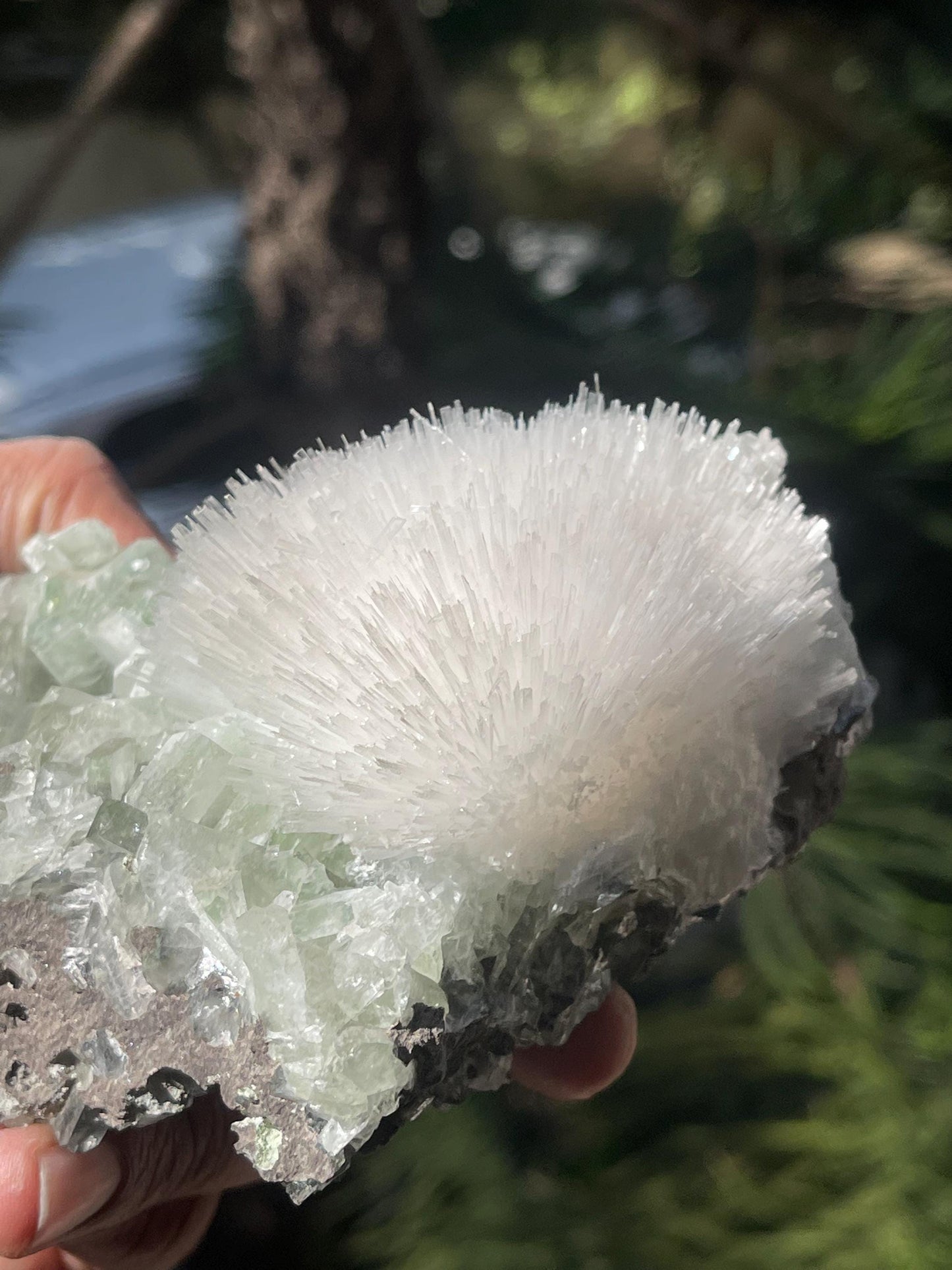 Mesolite flower on light green apophyllite