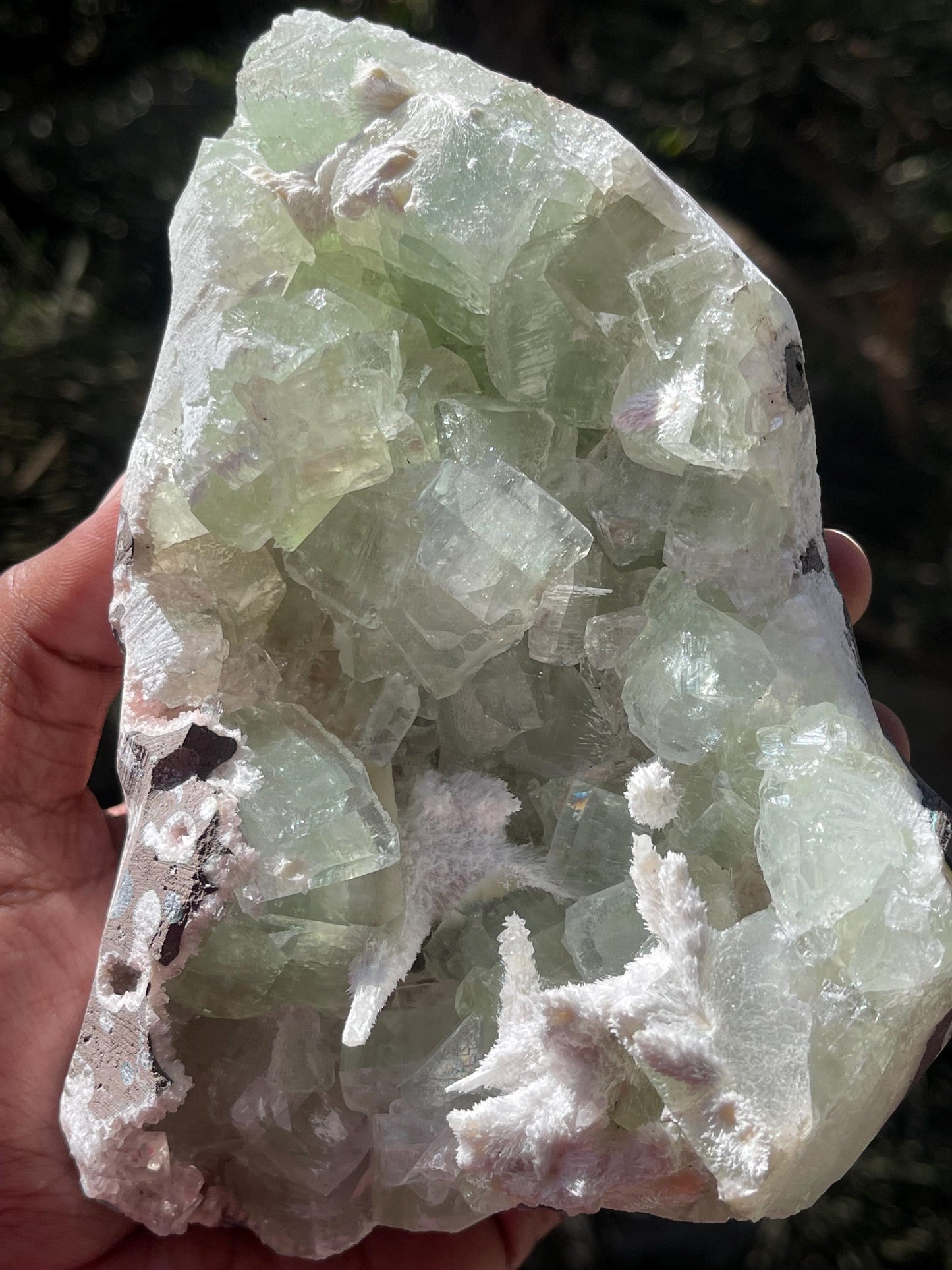 okenite mineral on green apophyllite matrix
