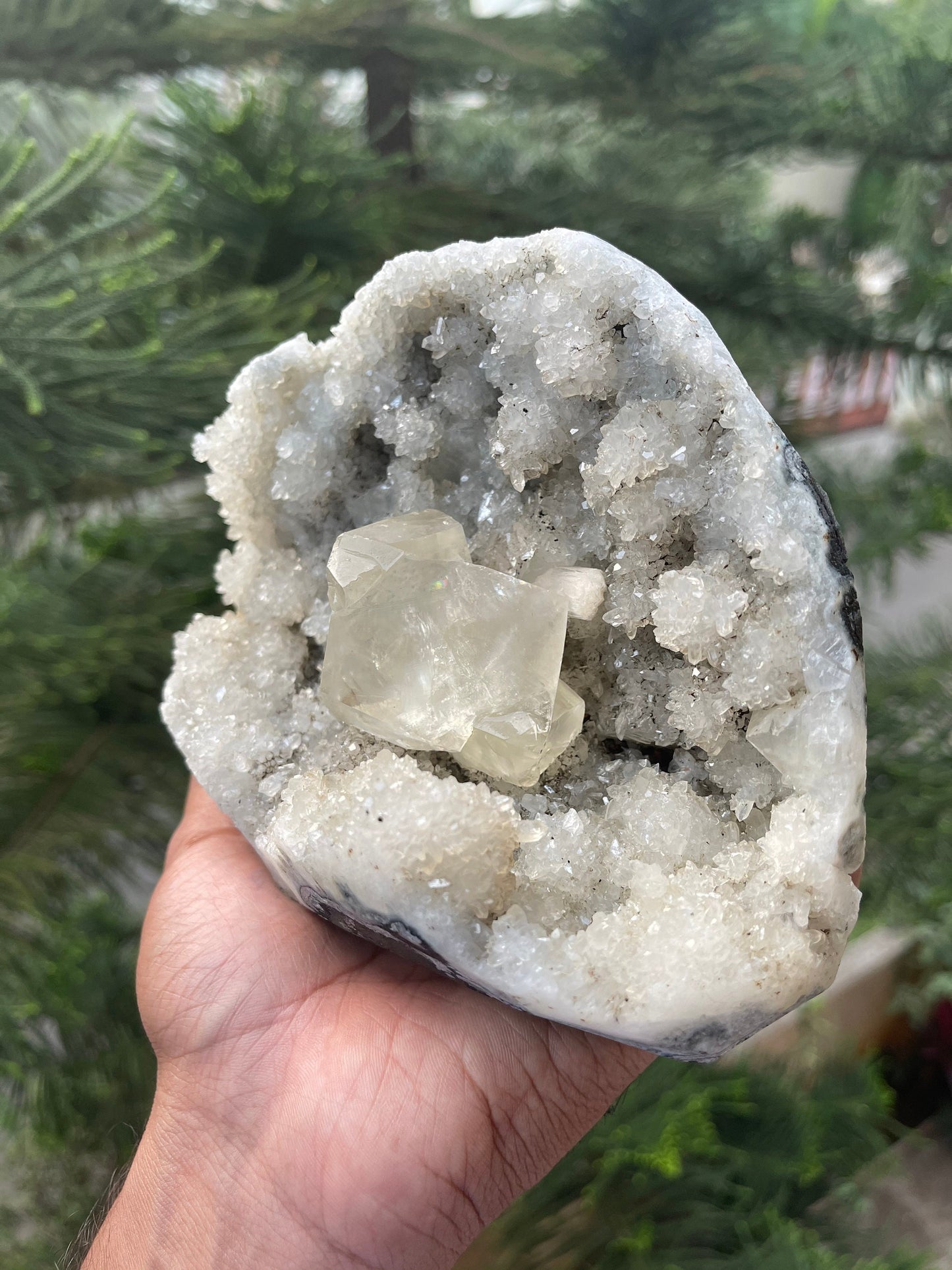 Natural calcite cube on chalcedony coral