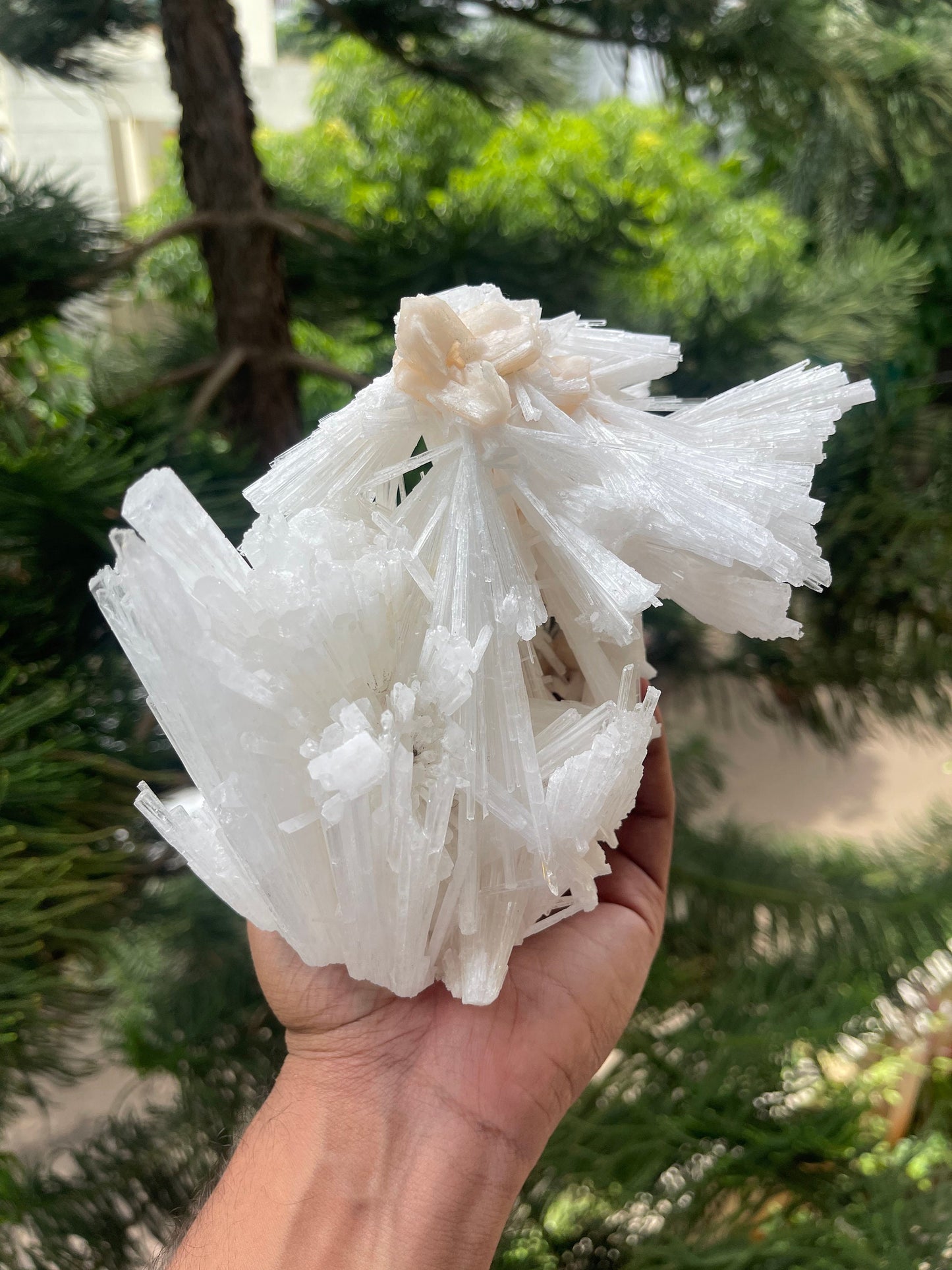 Scolecite spray with stilbite