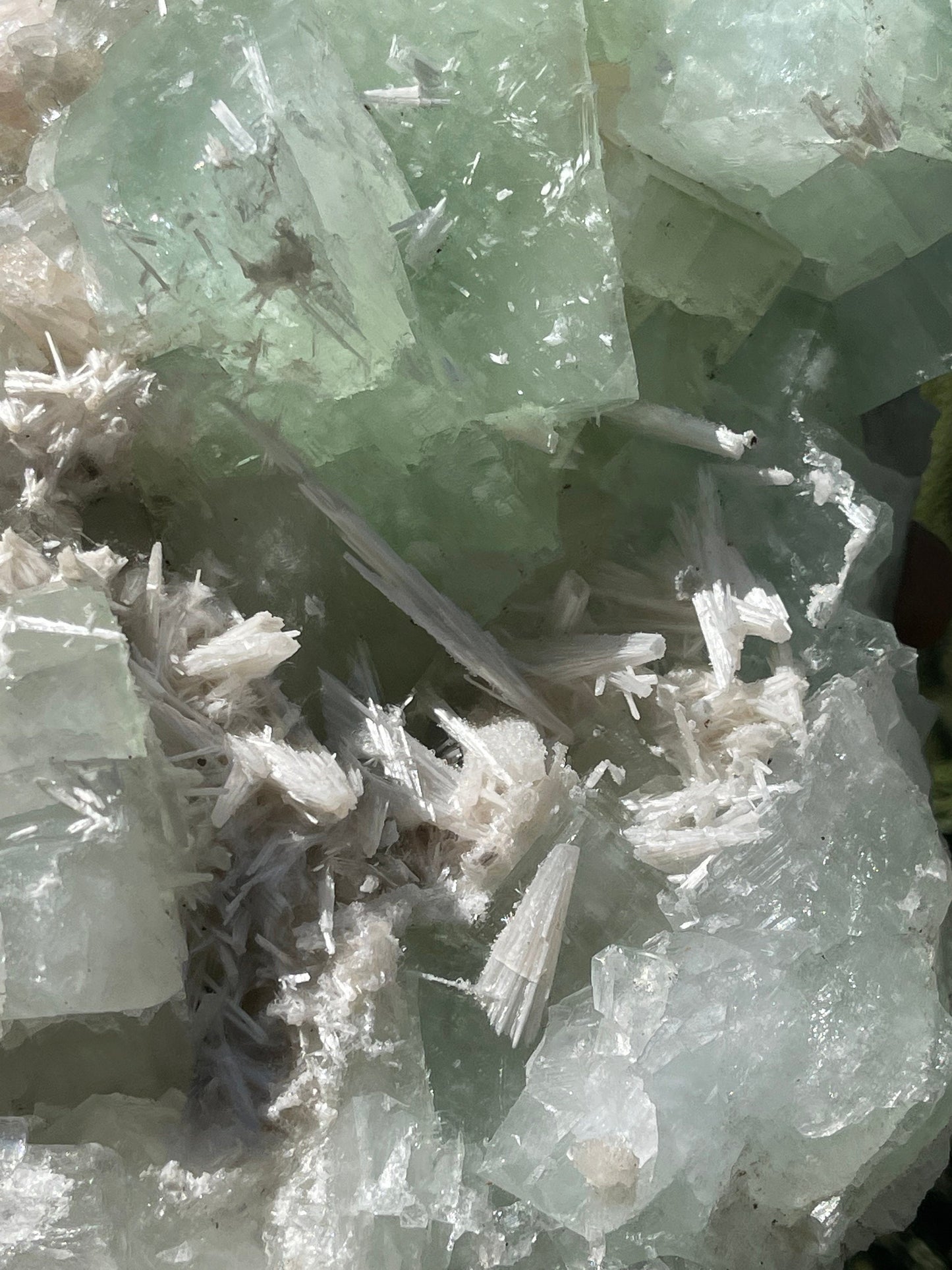 Green cubicle apophyllite with scolecite minerals specimen