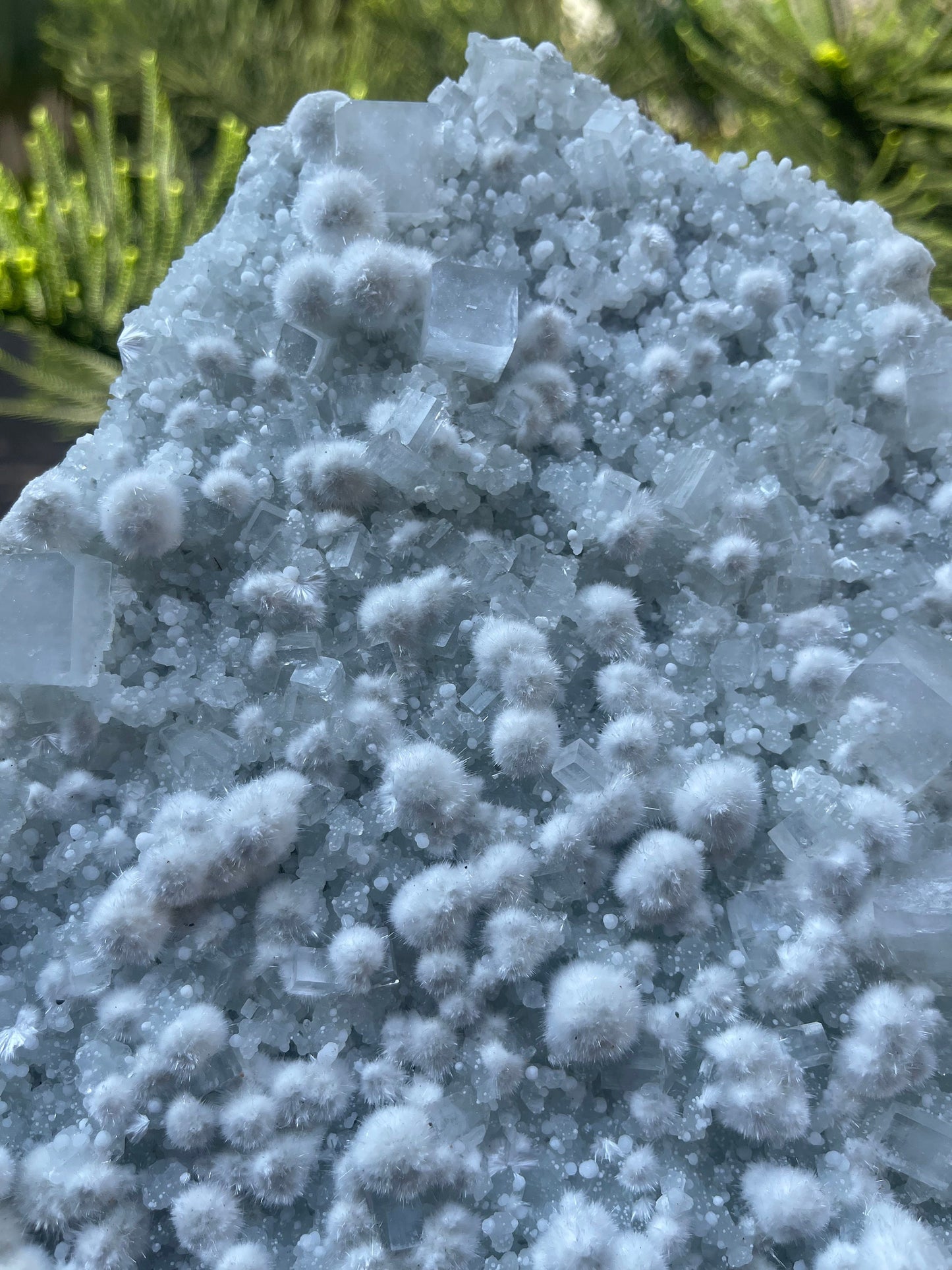 Multiple okenite balls with apophyllite crystal natural specimen