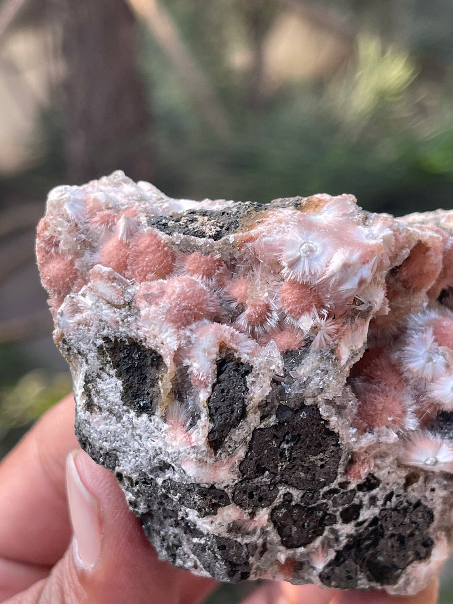 Multiple orange mesolite ball on matrix