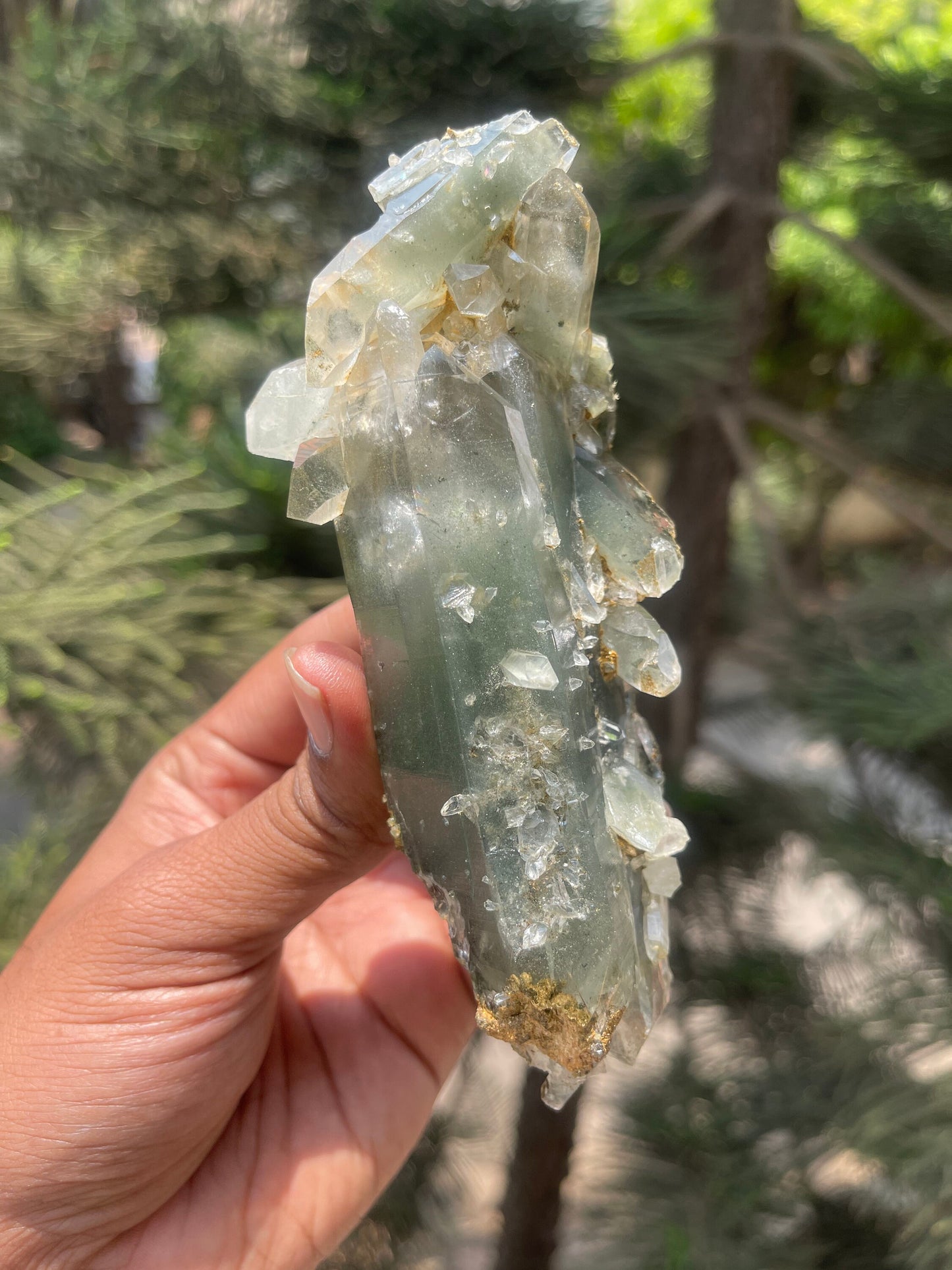 Himalayan quartz, double terminated crystal with chlorite