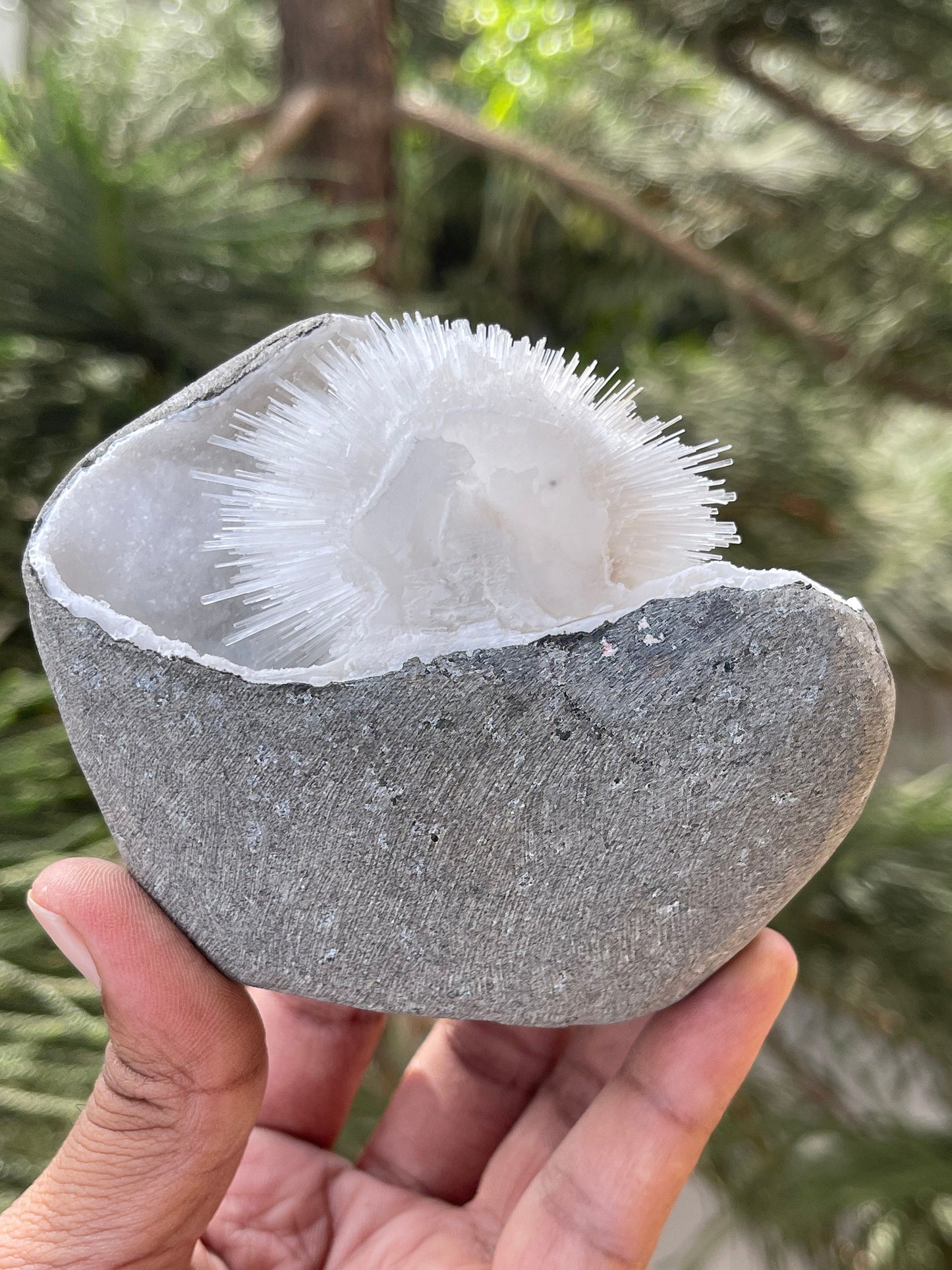 Perfect round of scolecite flowers inside quartz geode natural specimen