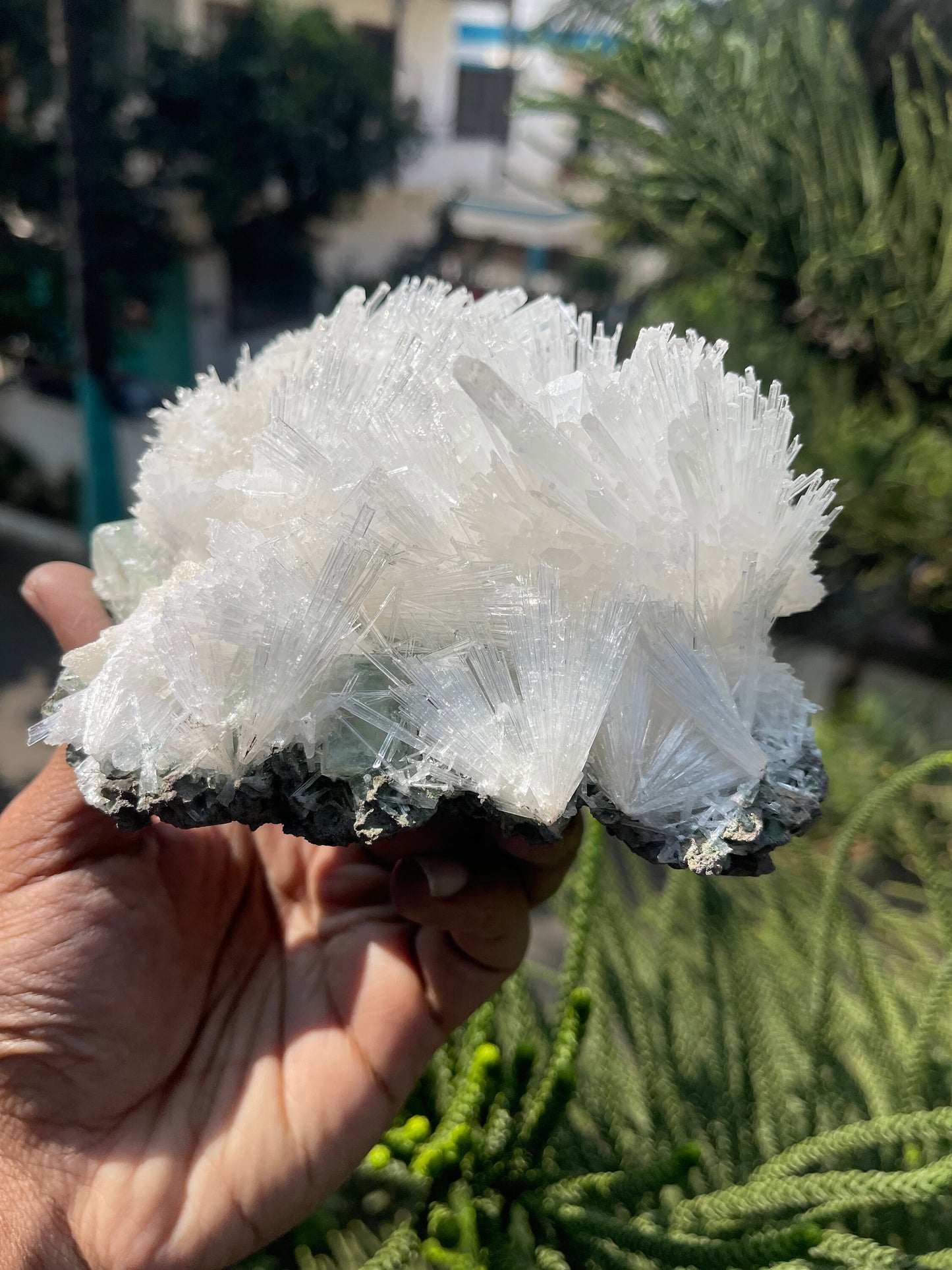 Scolecite with green apophyllite on matrix