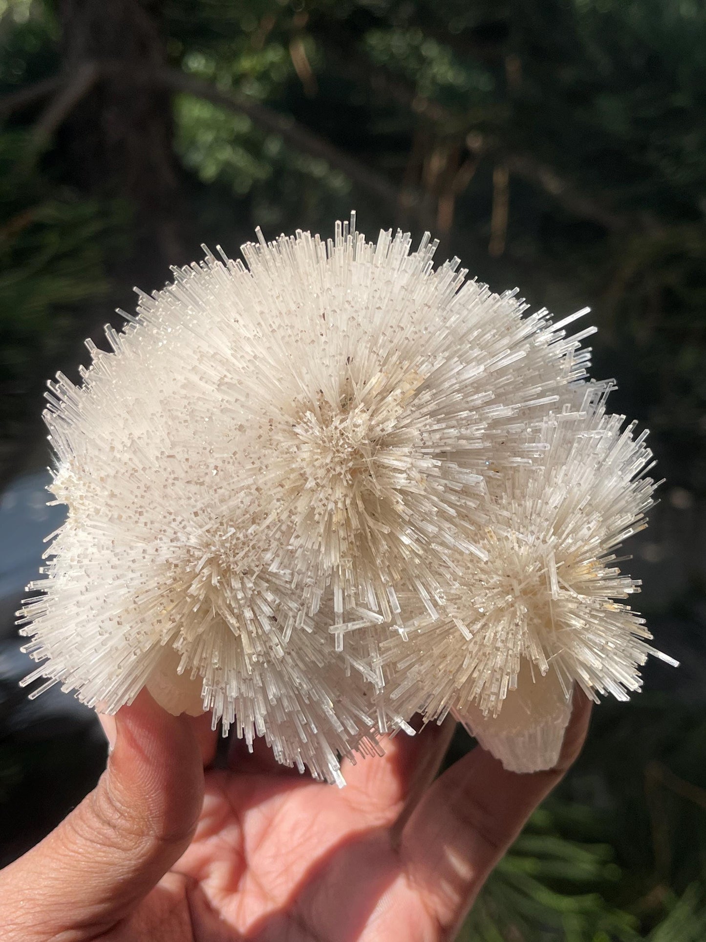 Perfect natrolite flower on stilbite