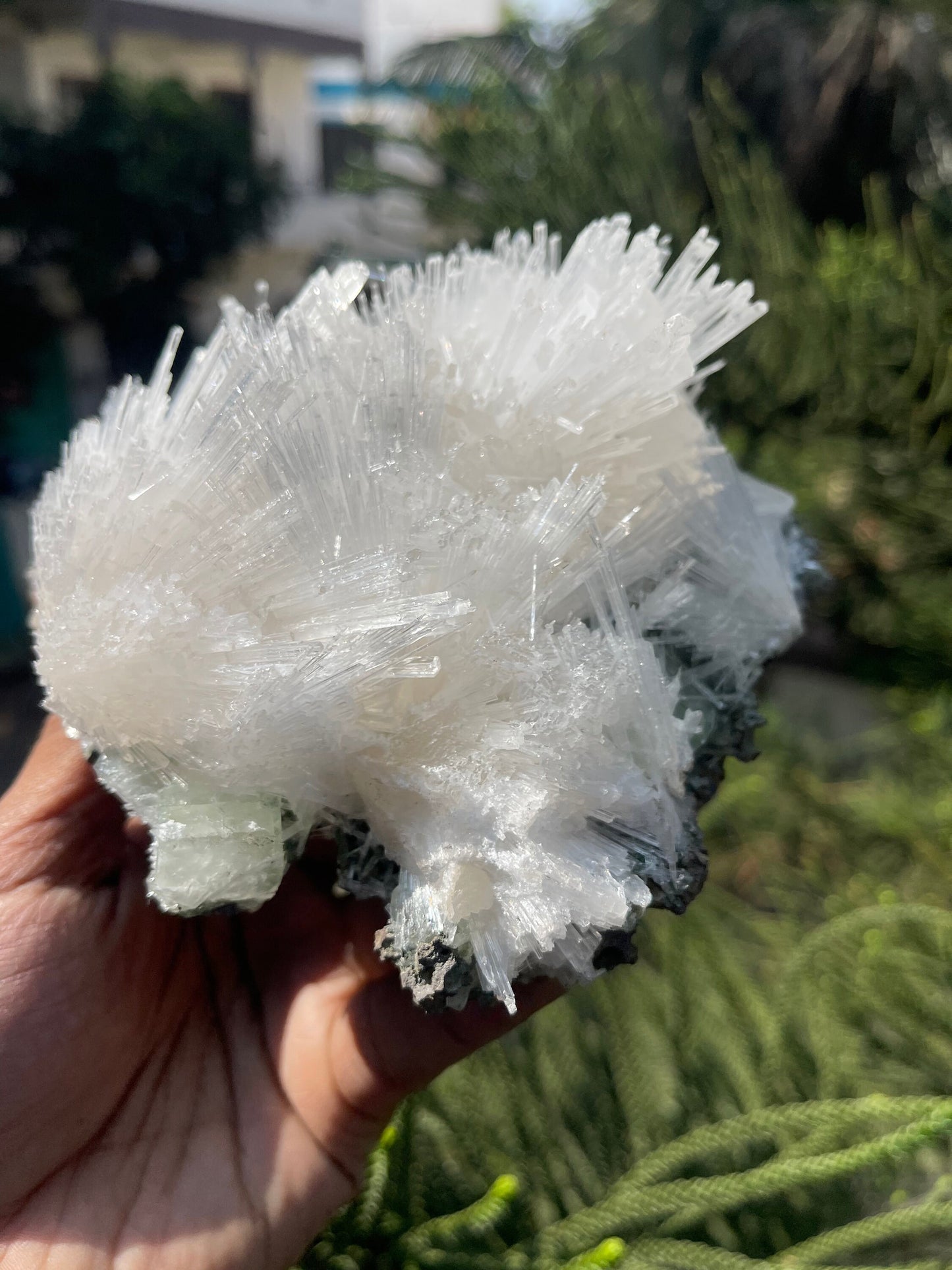 Scolecite with green apophyllite on matrix