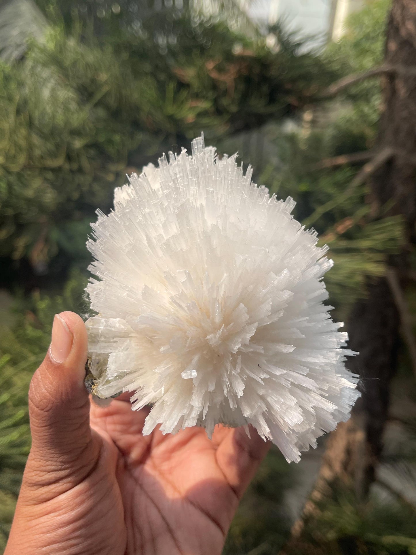 Perfect round of scolecite flower natural specimen