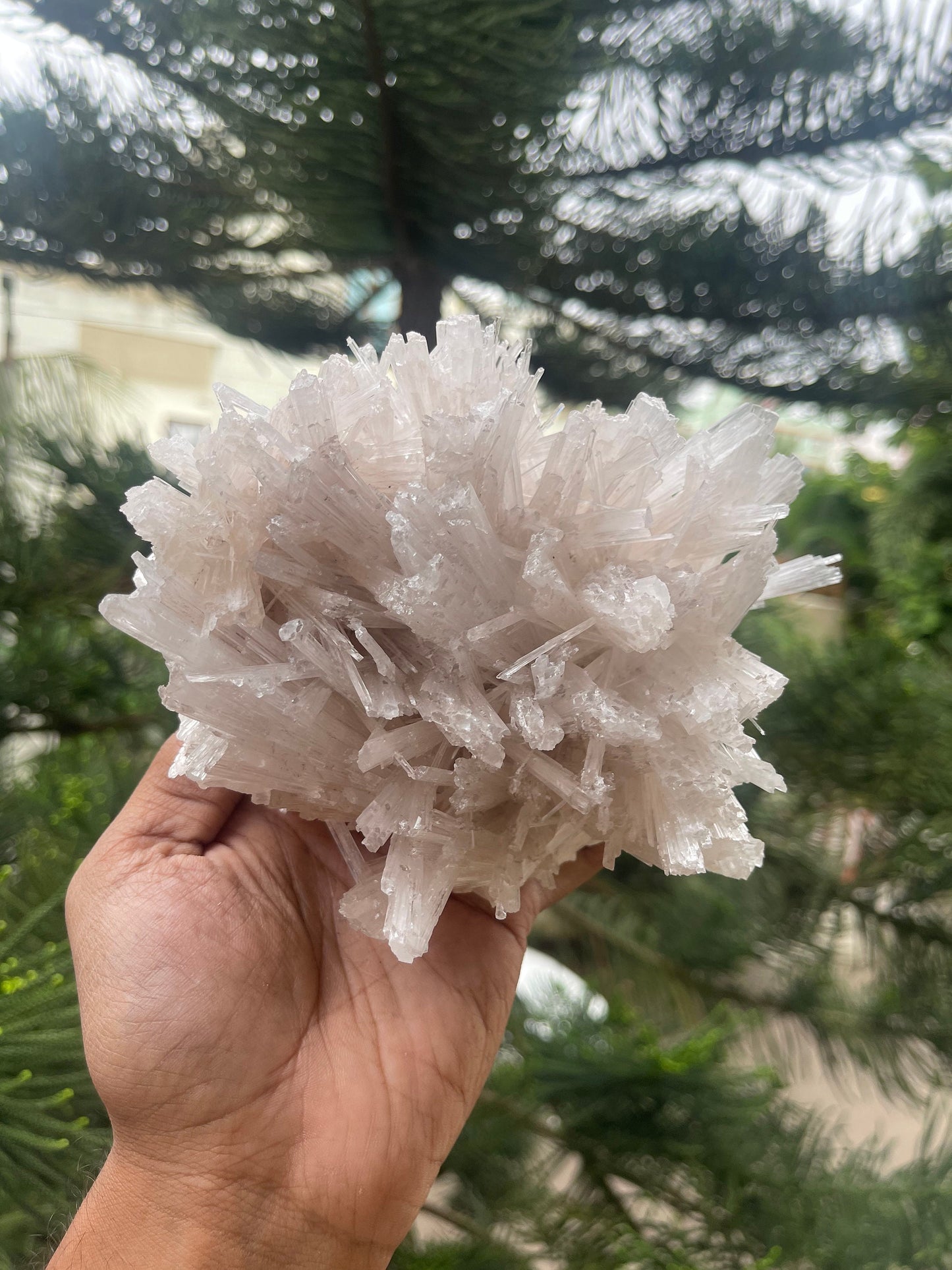 Scolecite flower