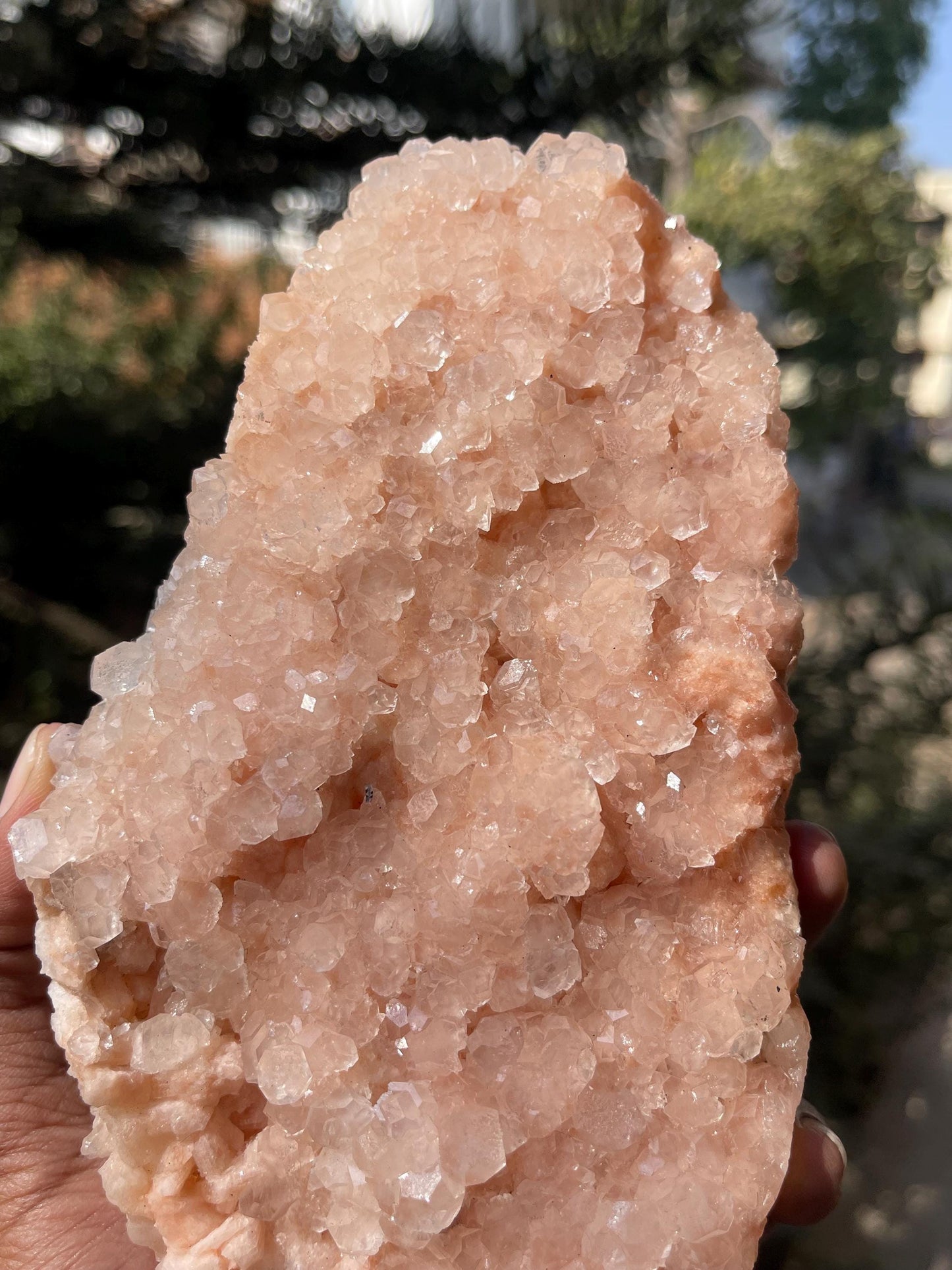 Glossy Pink Apophyllite Crystal – Stunning Natural Mineral Specimen