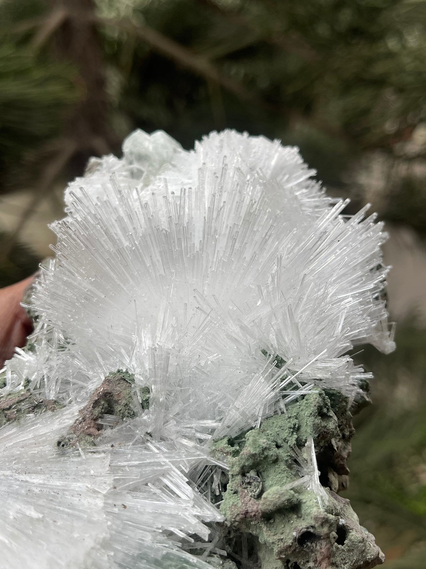 Scolecite flower with green apophyllite crystal on matrix