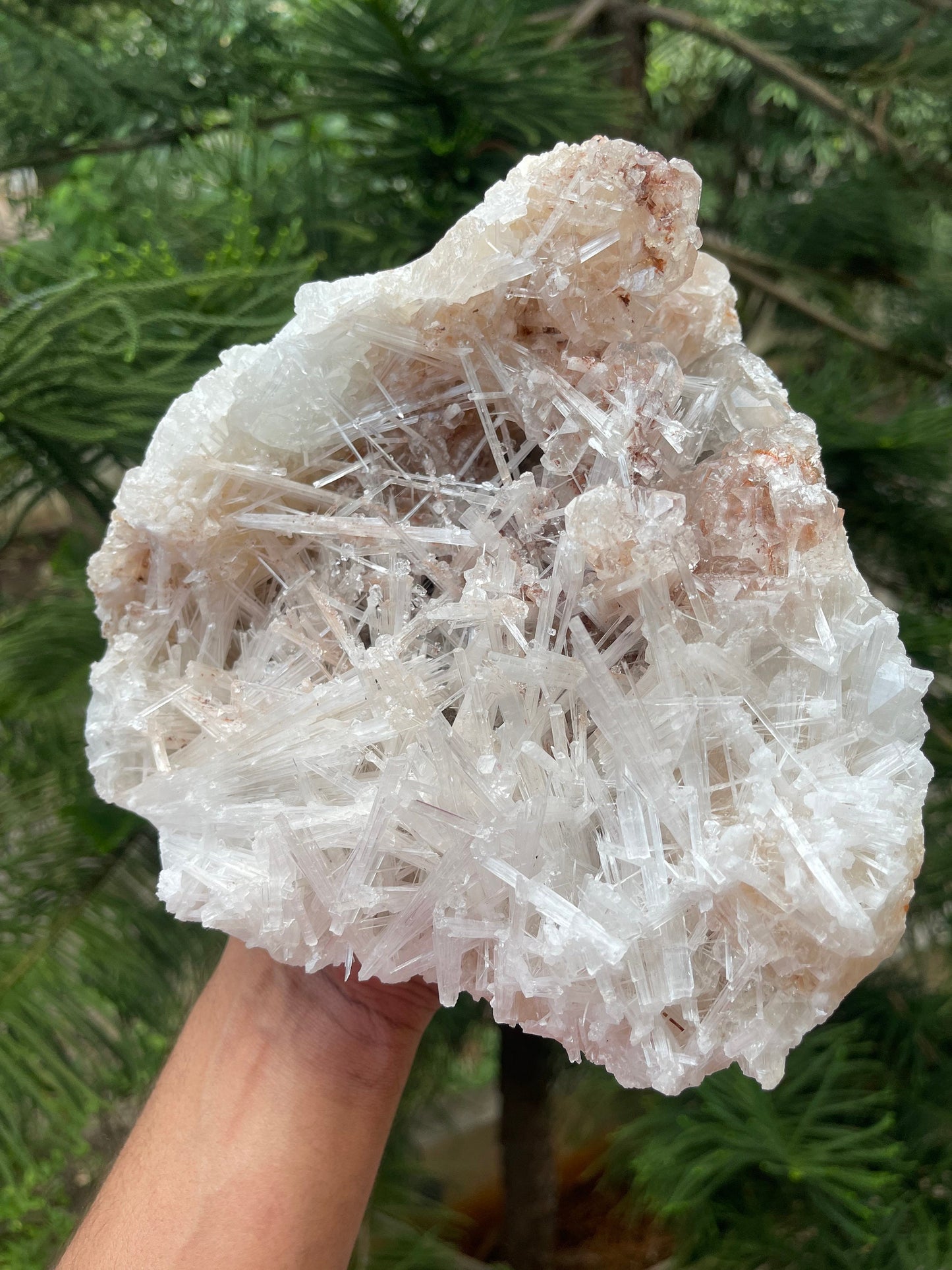 Clear apophyllite crystal on Glossy scolecite spray natural specimen