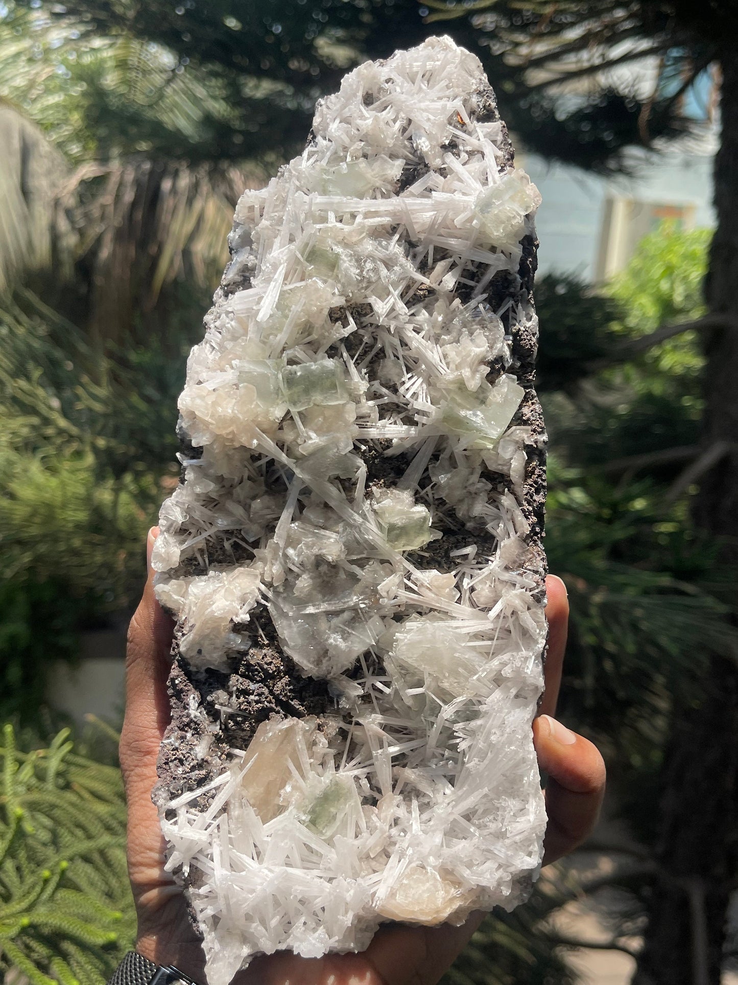 Scolecite spray with green apophyllite/stilbite natural specimen