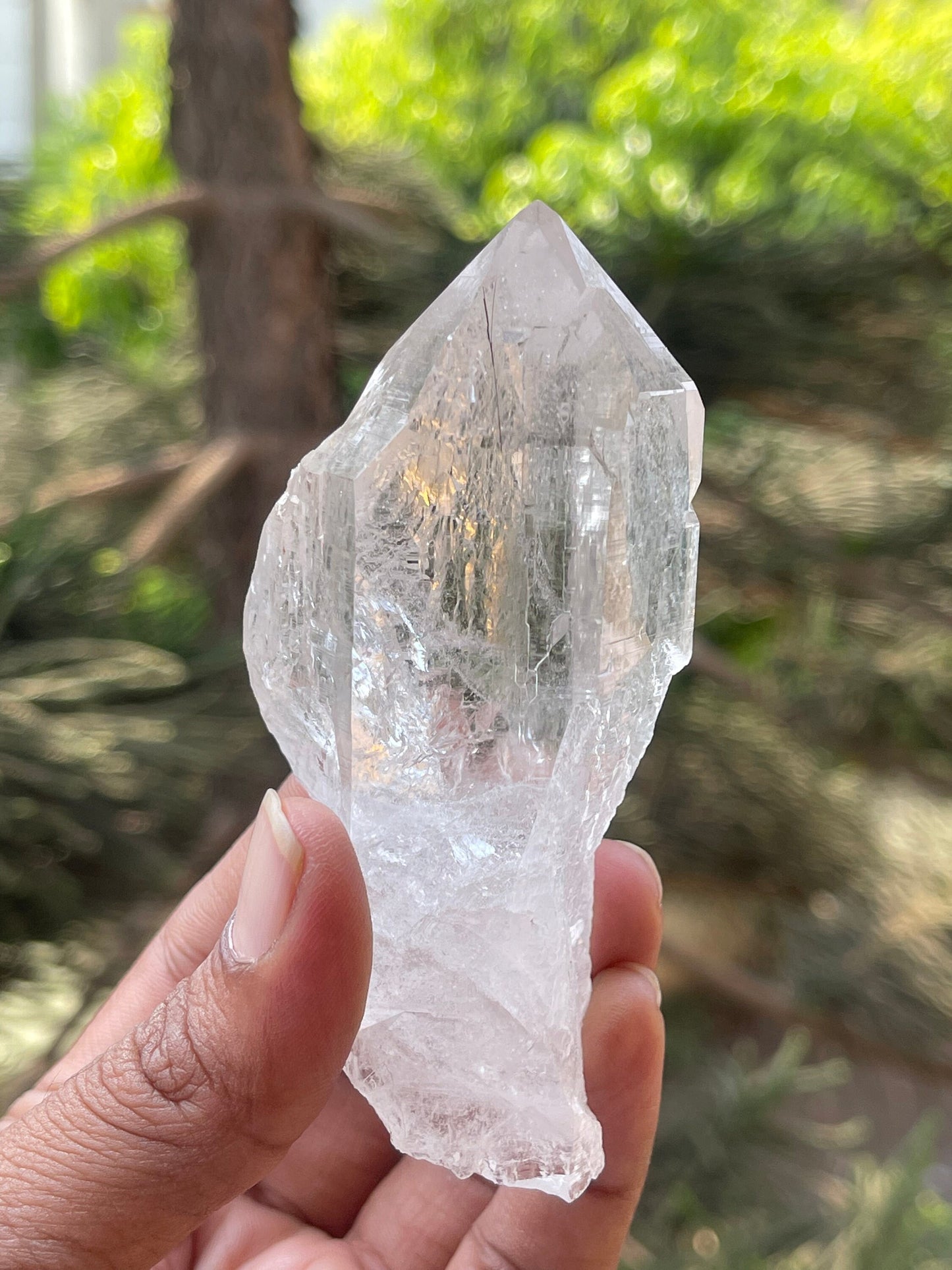 Water clear Himalayan quartz crystal with black rutile Himachal Pradesh kullu