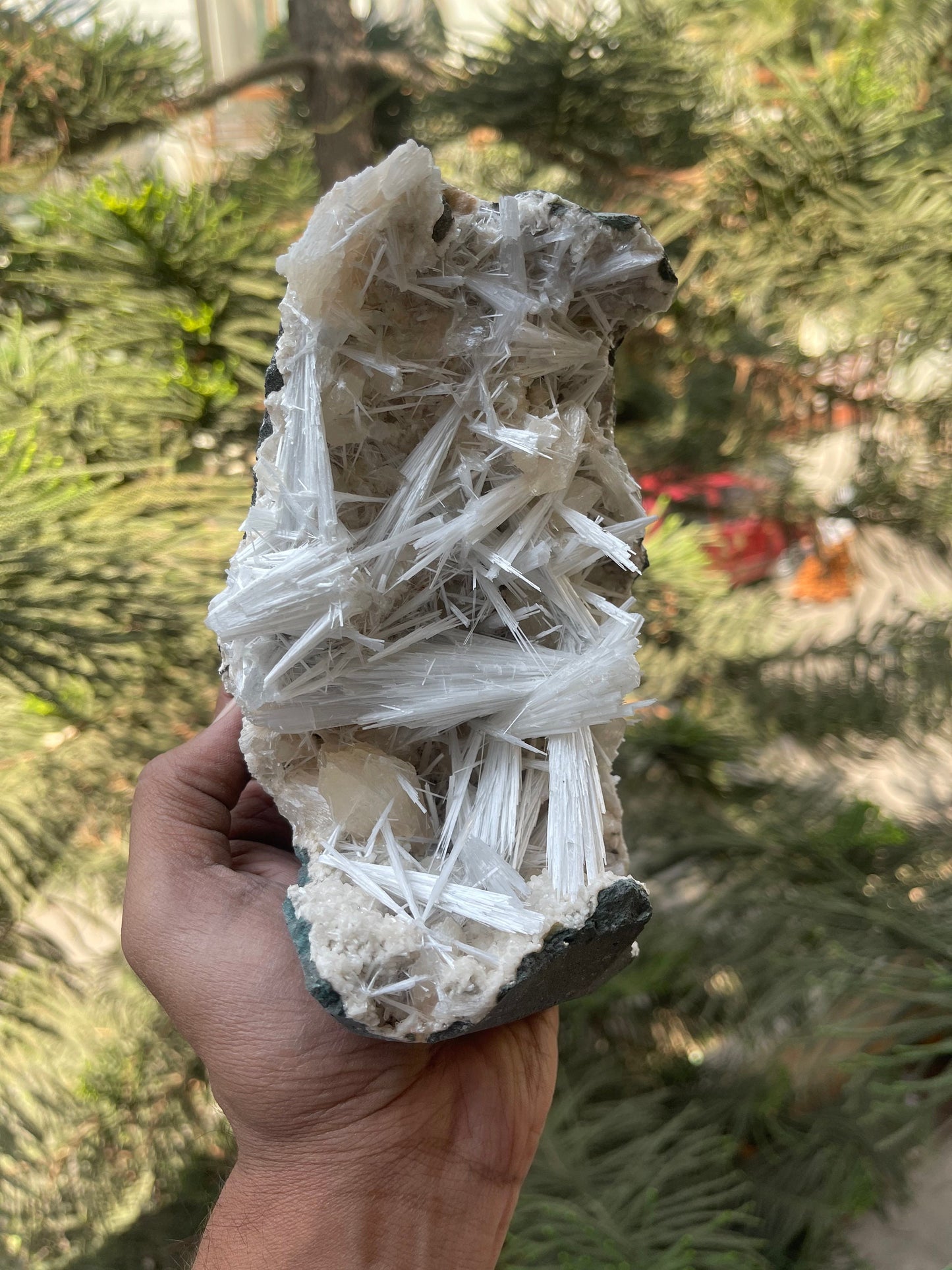 Shiney scolecite spray with stilbite/heulandite base
