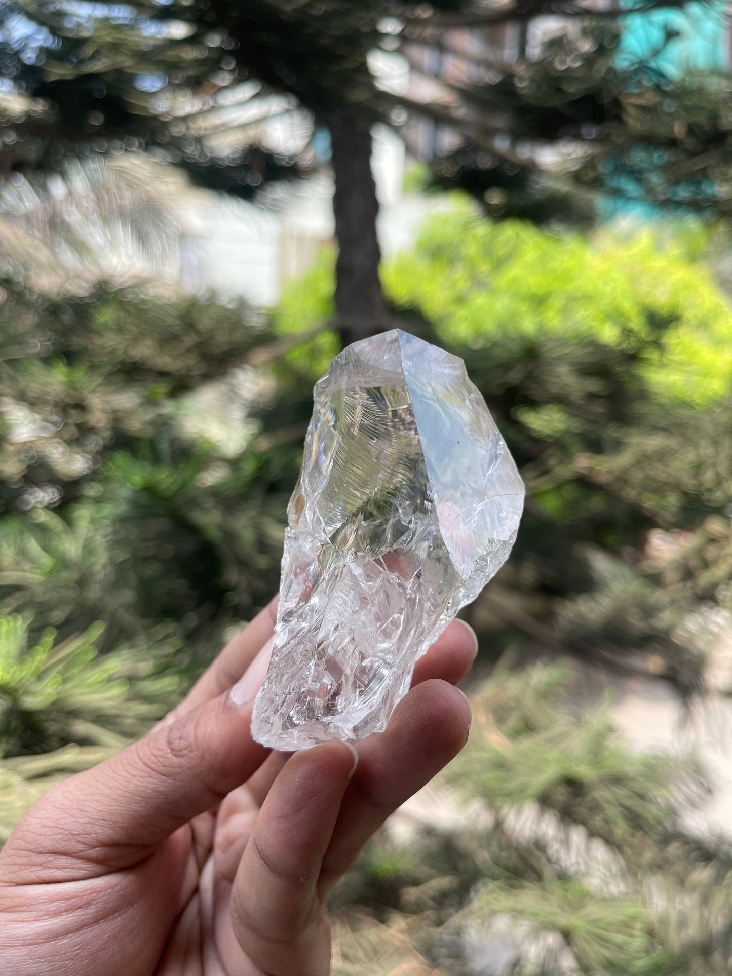 Water clear Himalayan quartz crystal