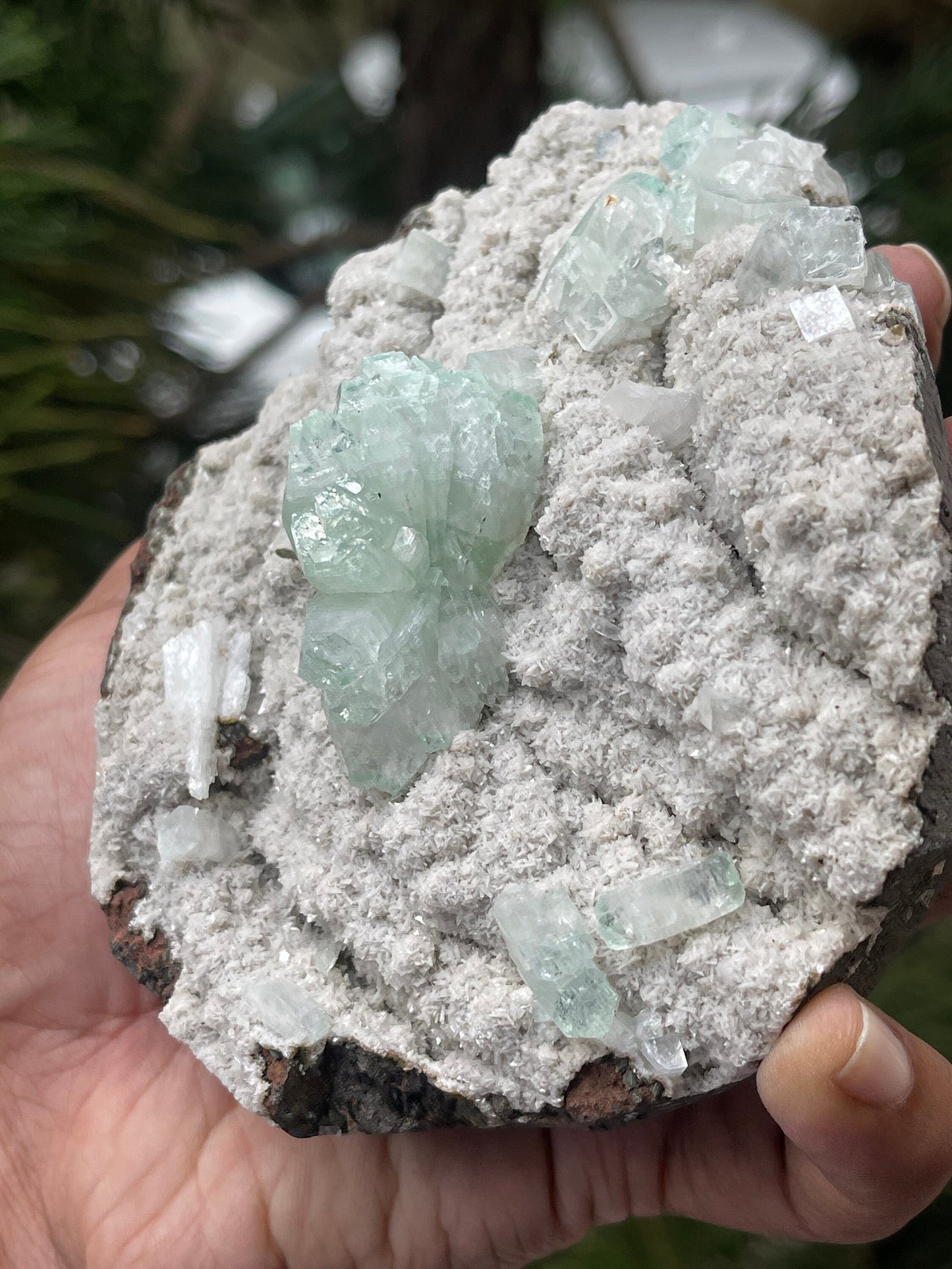 Green apophyllite crystal on chalcedony matrix