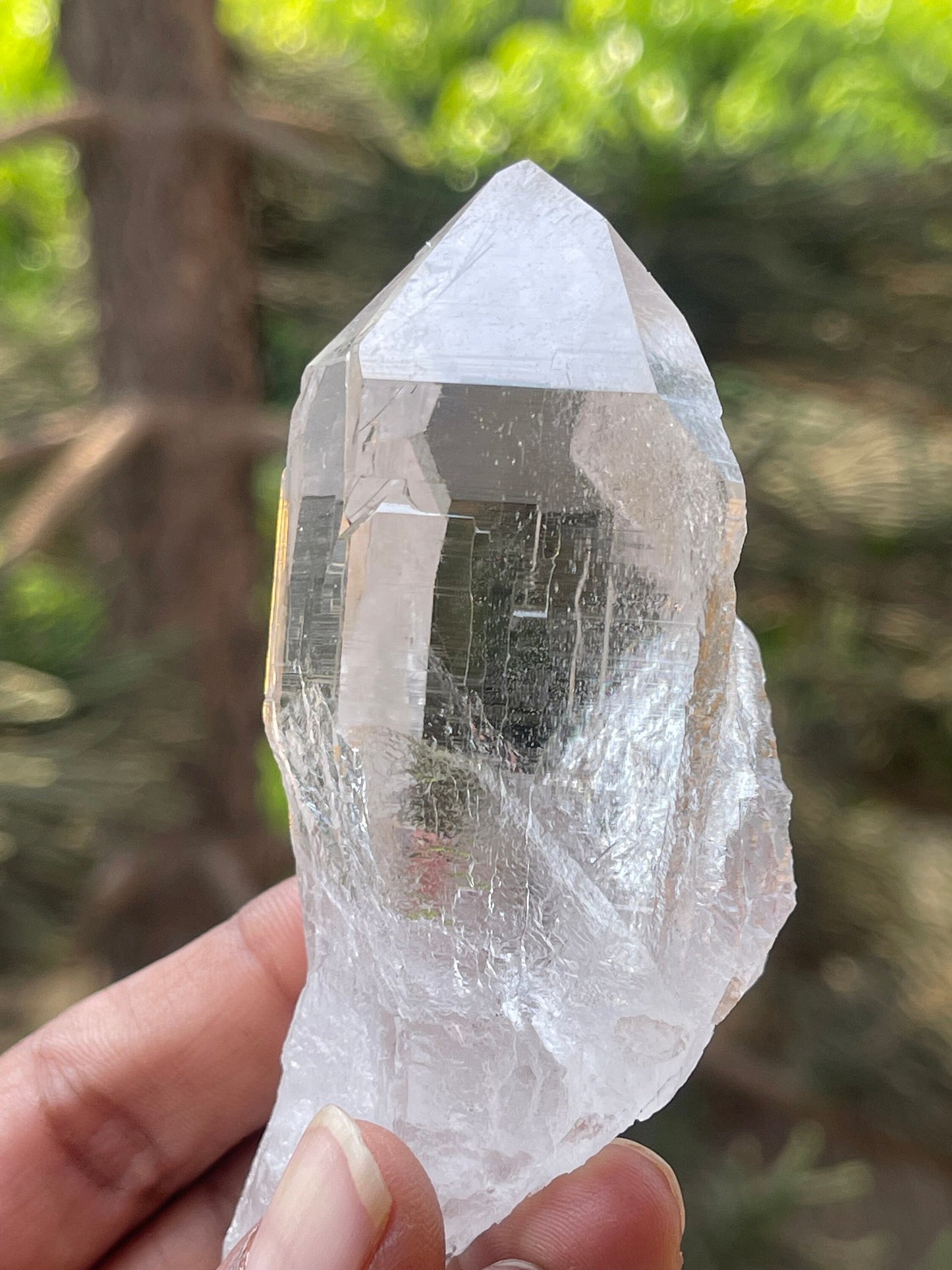 Water clear Himalayan quartz crystal with black rutile Himachal Pradesh kullu