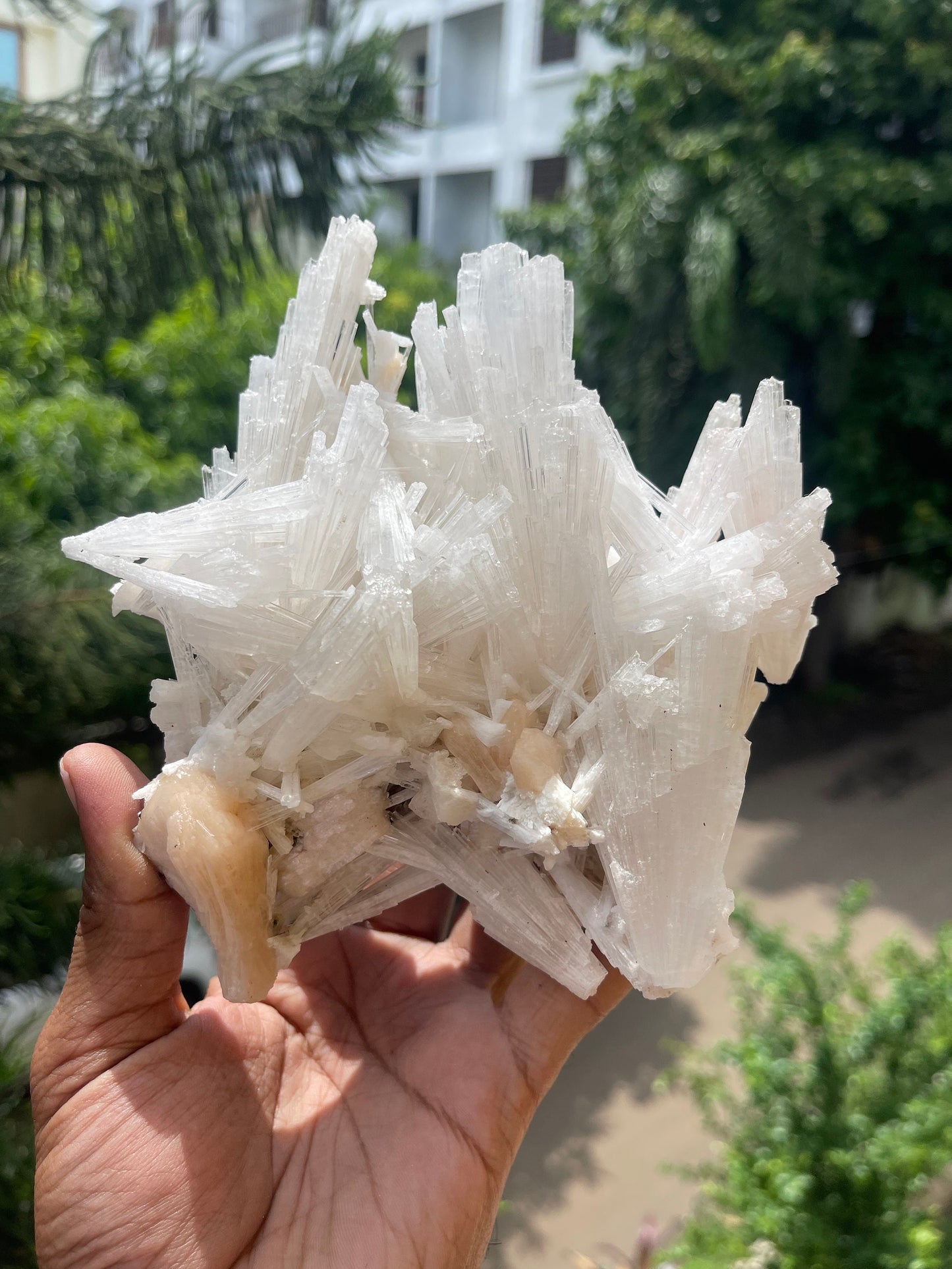 Scolecite crystal with stilbite