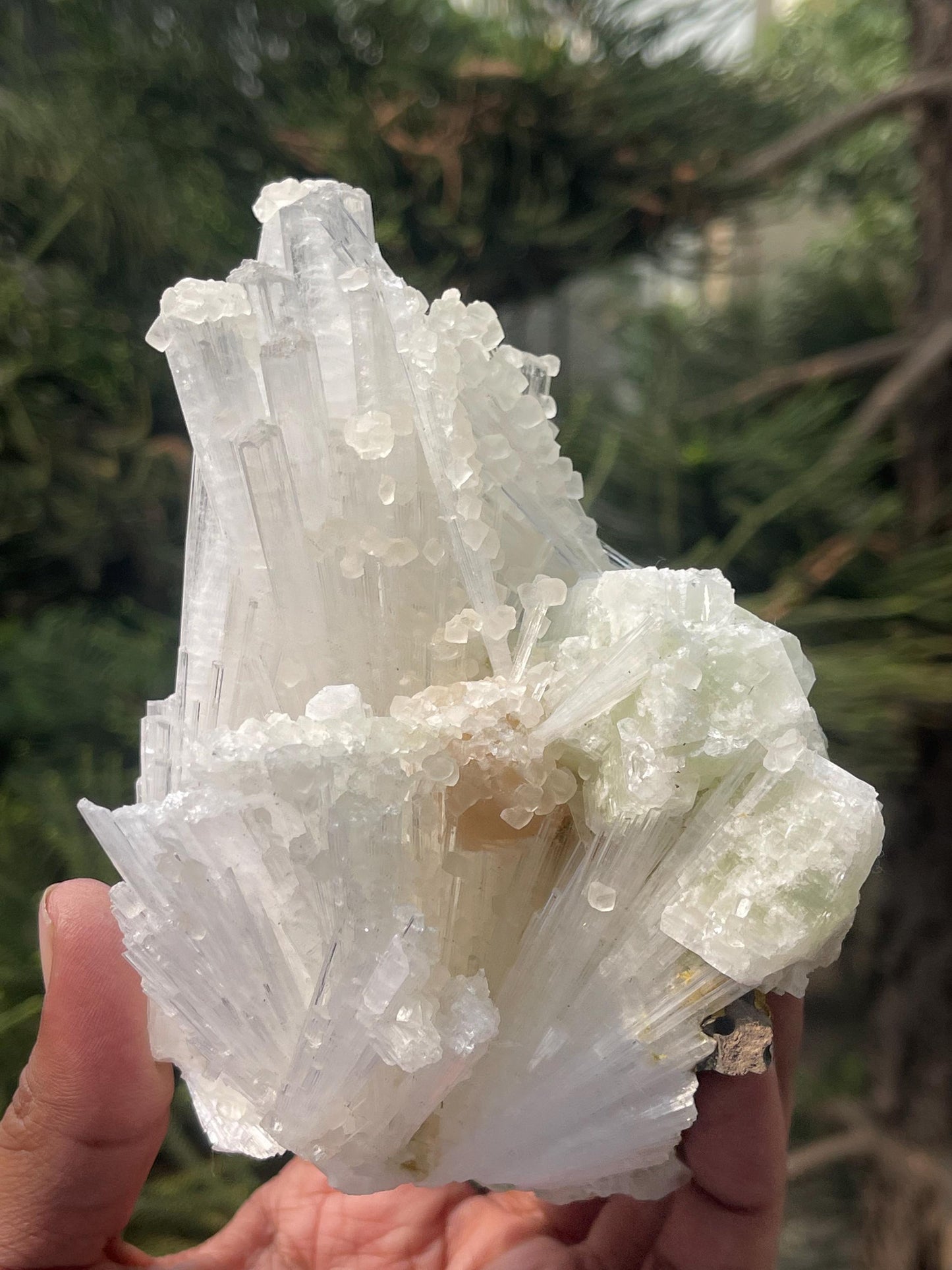 Combination of calcite/stilbite/green apophyllite on scolecite crystal