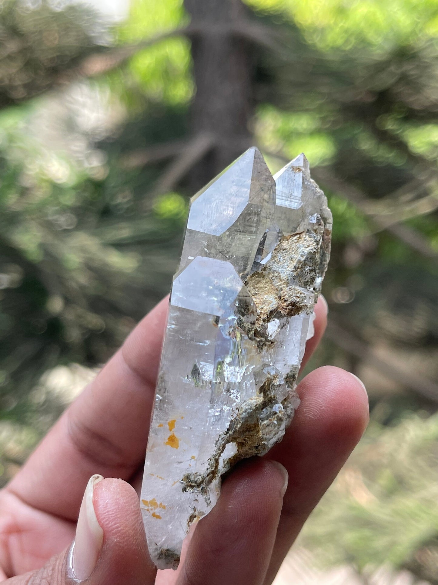 chlorite included Twin Quartz Crystals with unique formation- Himachal Pradesh