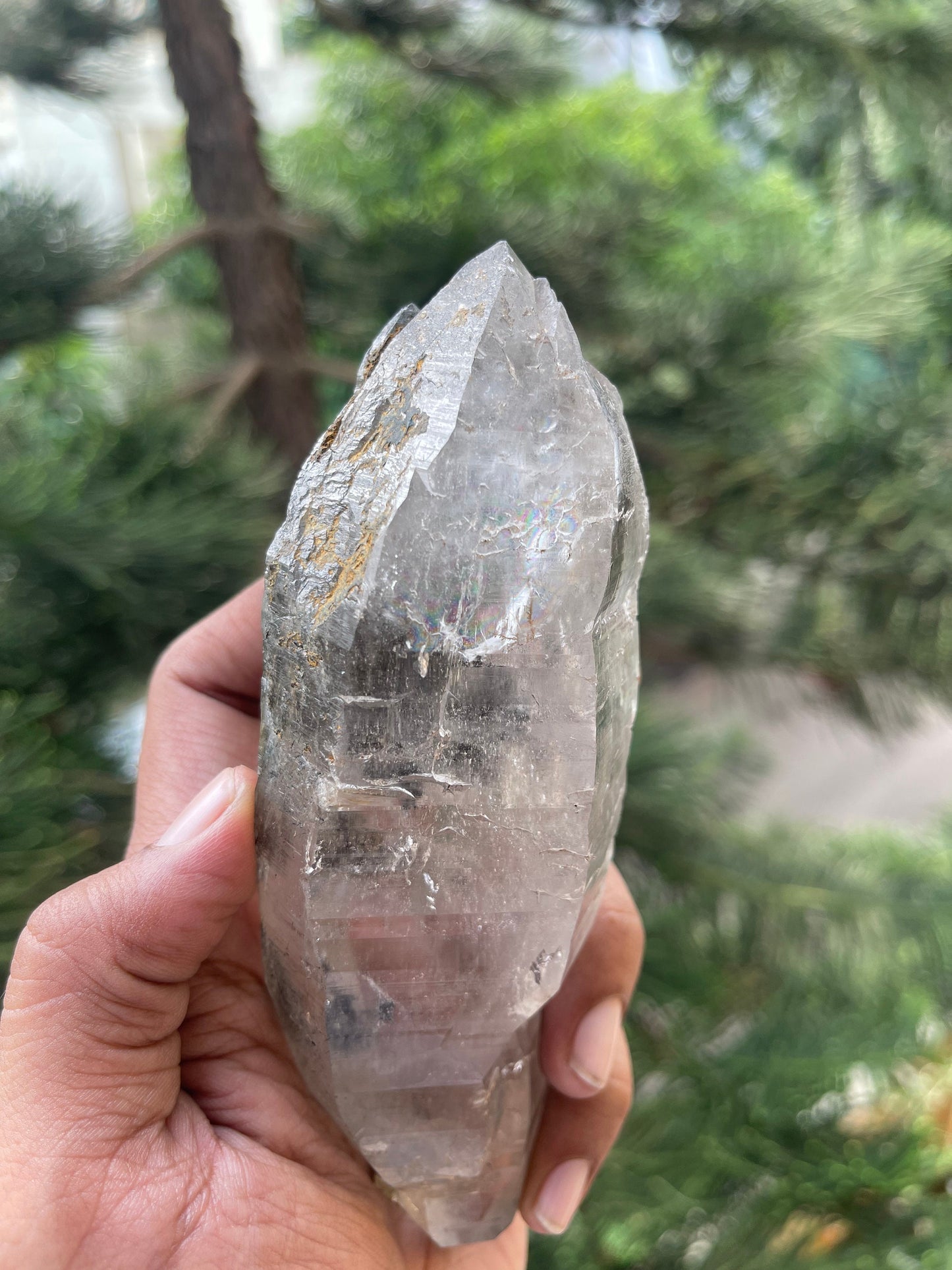 Double terminated Himalayan quartz floater