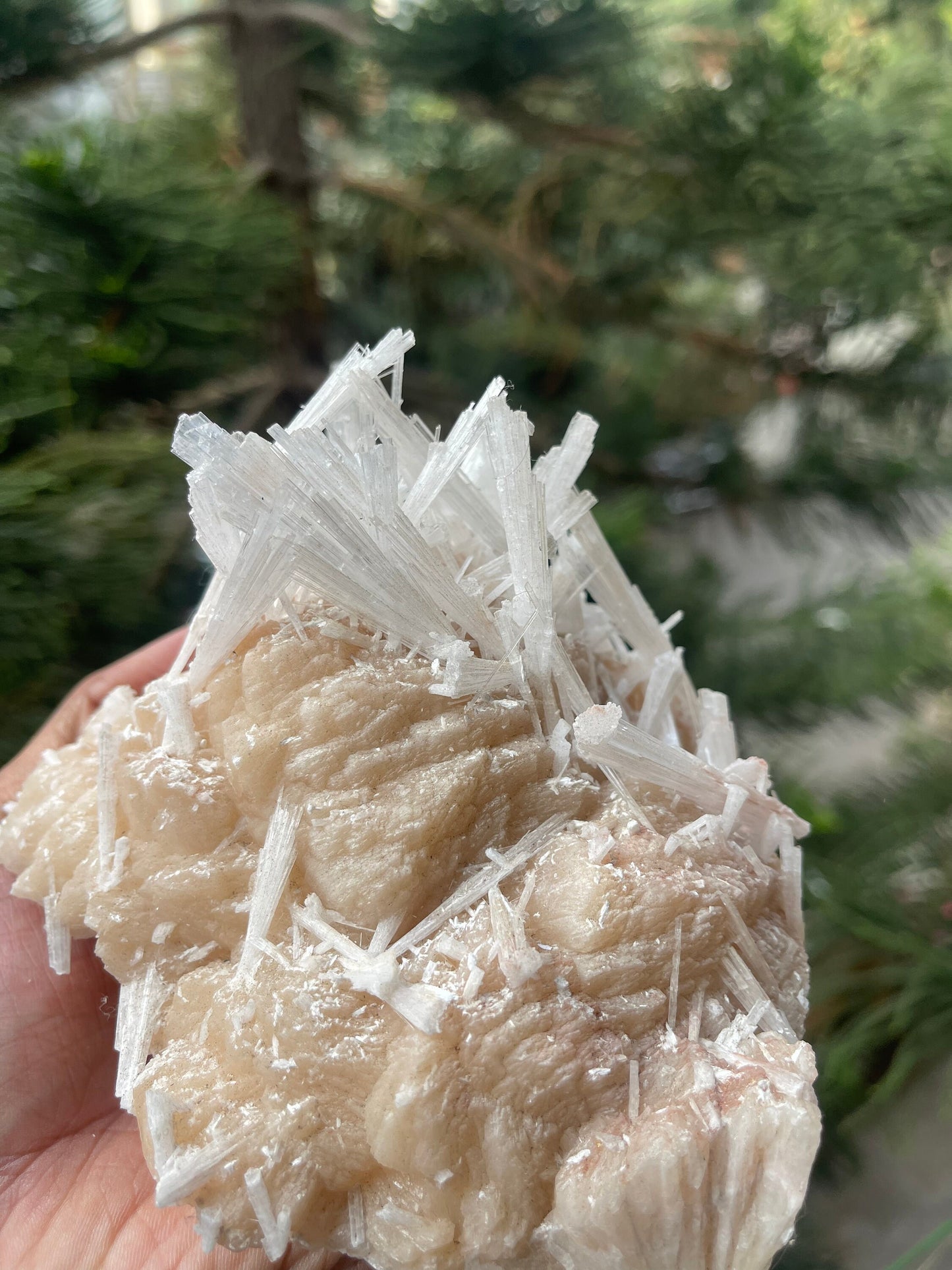 Scolecite spray on stilbite mineral