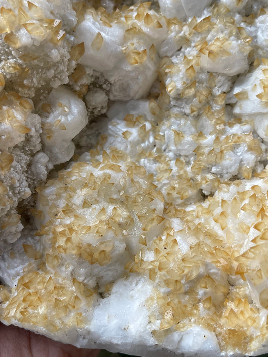 Multiple golden calcite on white apophyllite