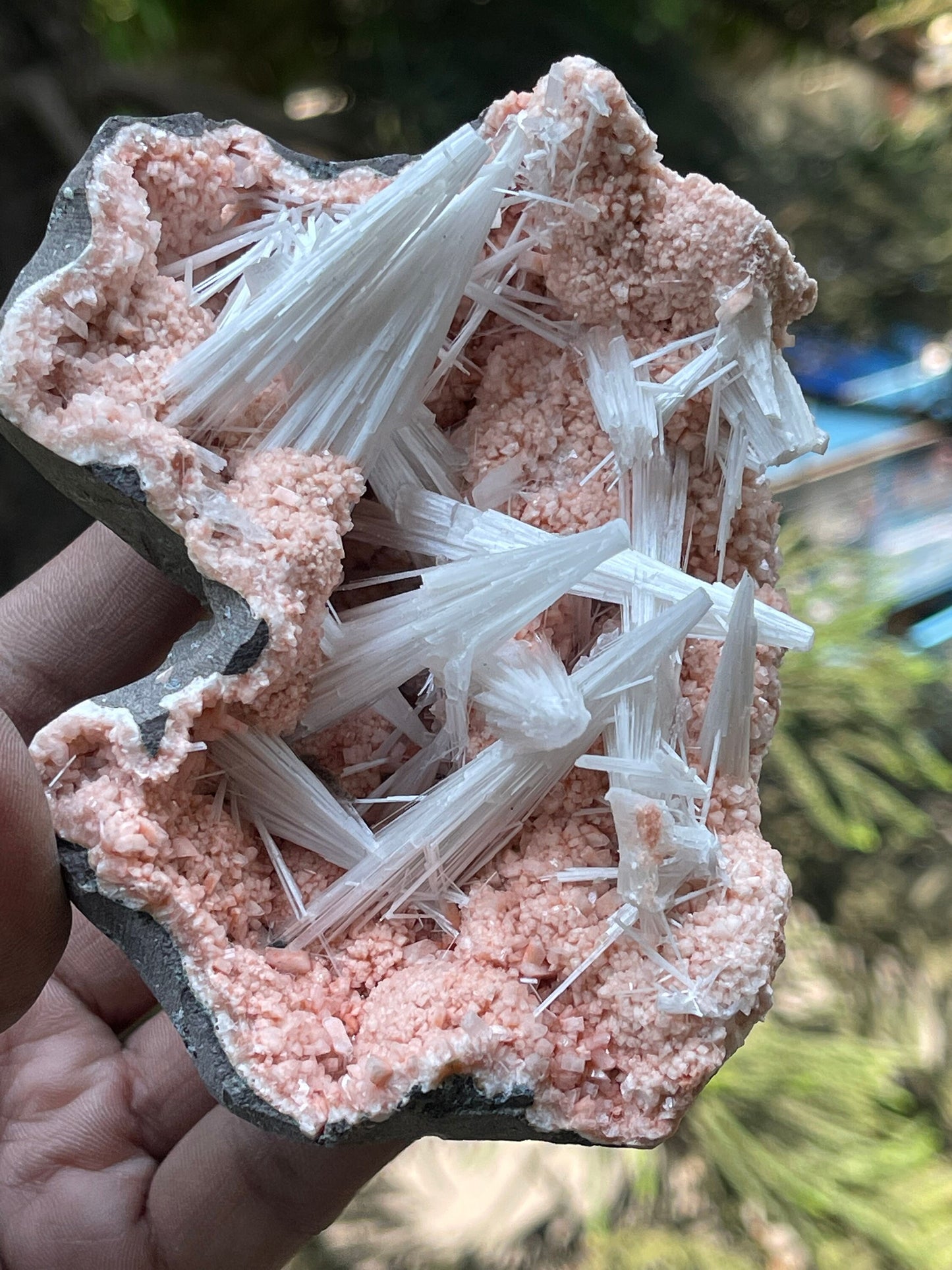 Multiple scolecite sprays on orange heulandite matrix natural specimen
