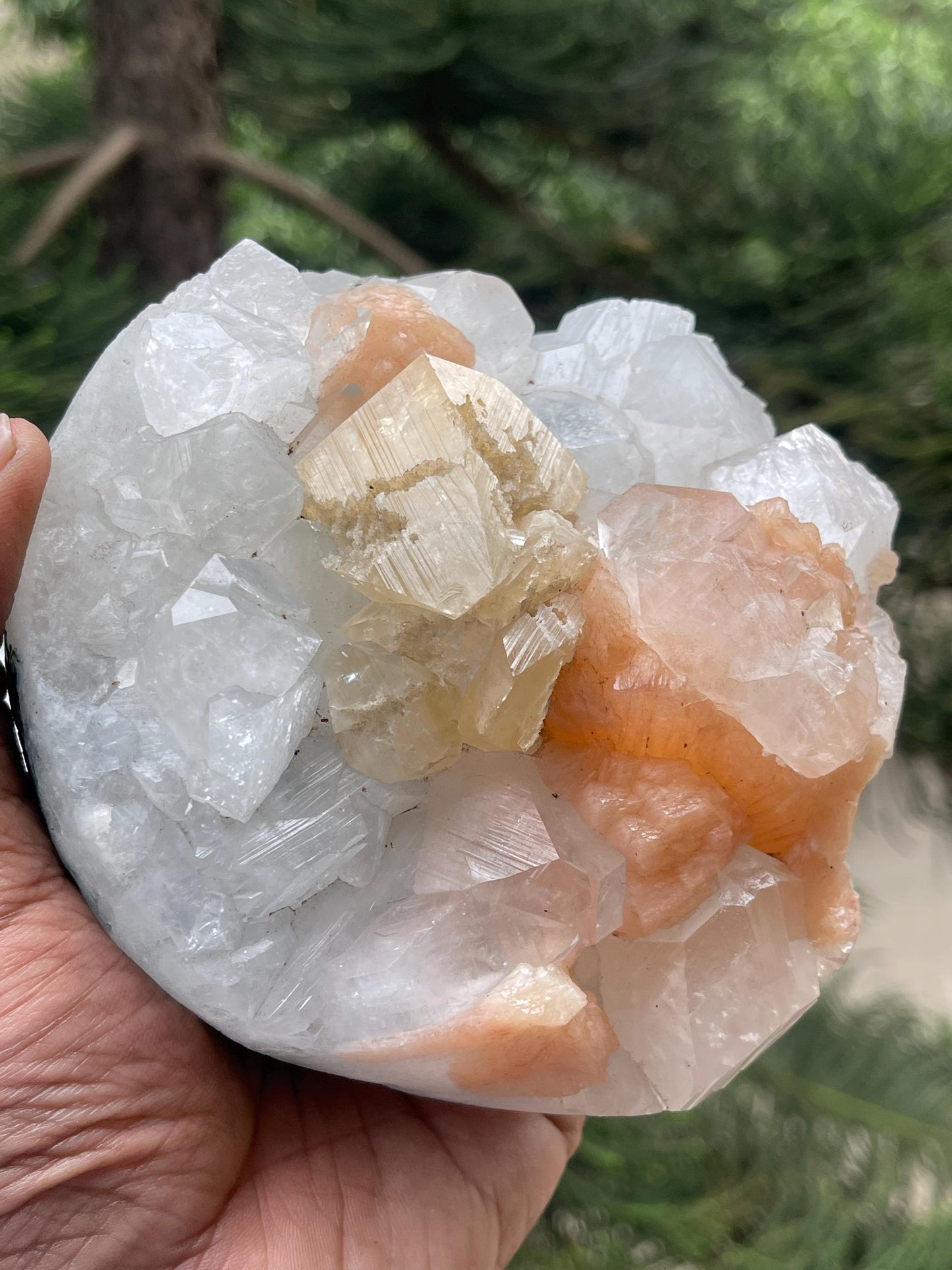 Large size of powellite crystal with orange stilbite/apophyllite