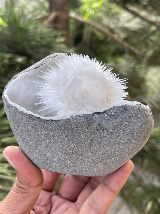 Perfect round of scolecite flowers inside quartz geode natural specimen