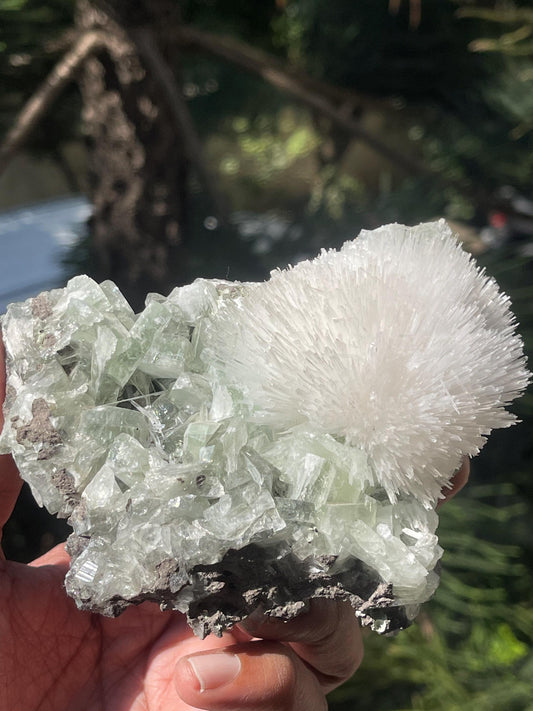 Mesolite flower on light green apophyllite