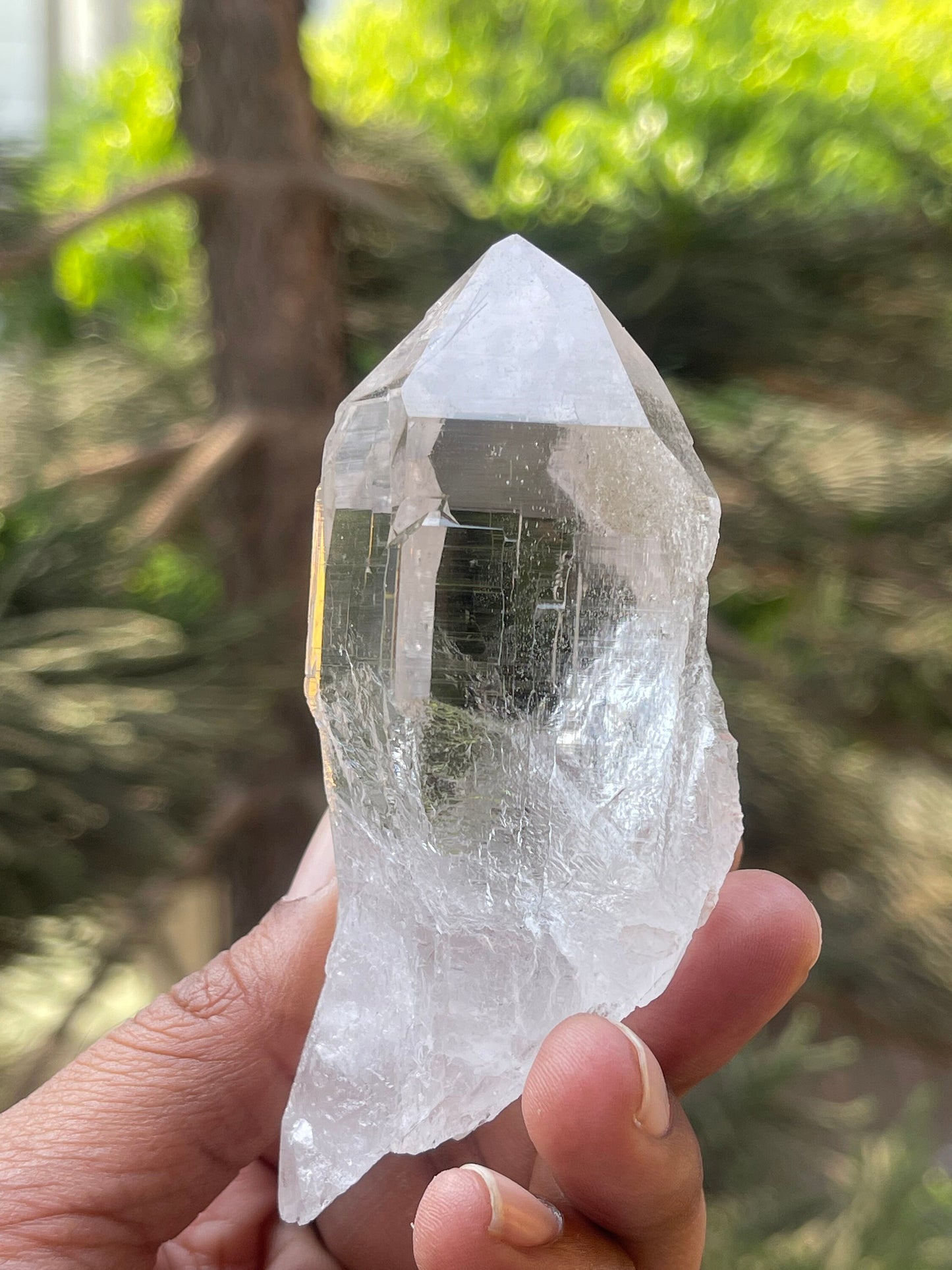 Water clear Himalayan quartz crystal with black rutile Himachal Pradesh kullu