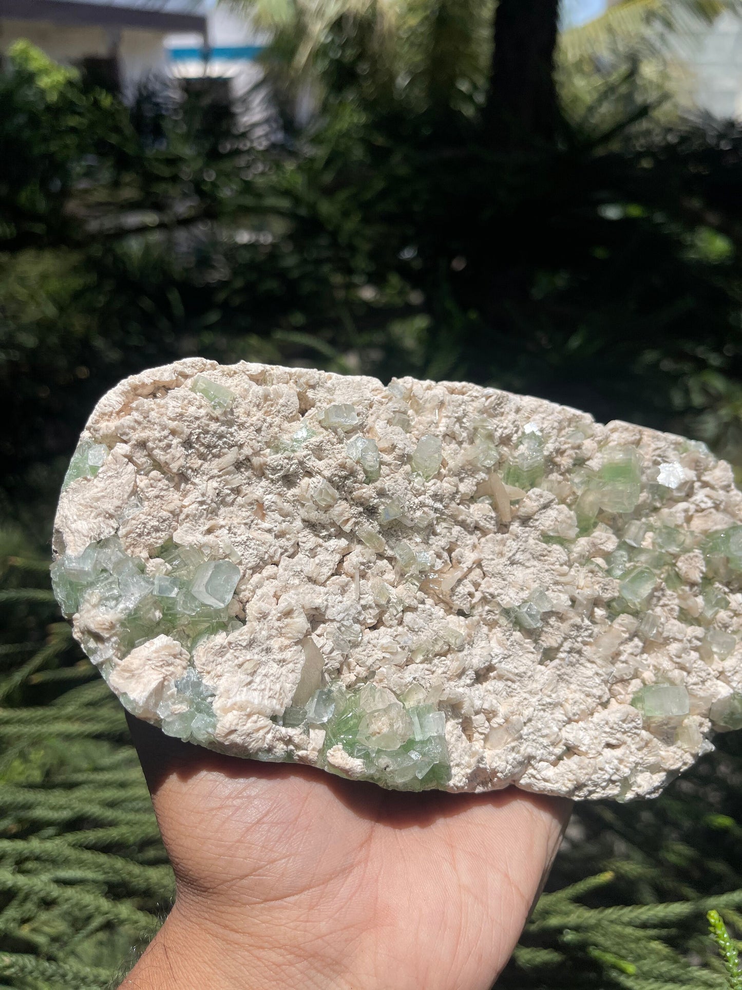 Cubicle green apophyllite crystals with stilbite on matrix