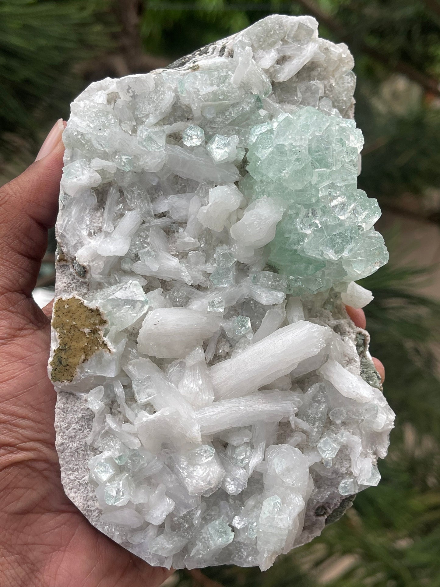 Green apophyllite crystals with stilbite