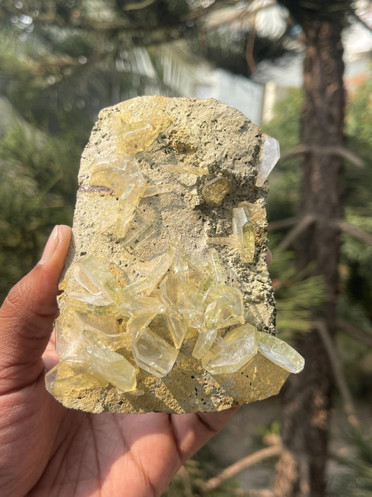 Apophyllite crystals on matrix