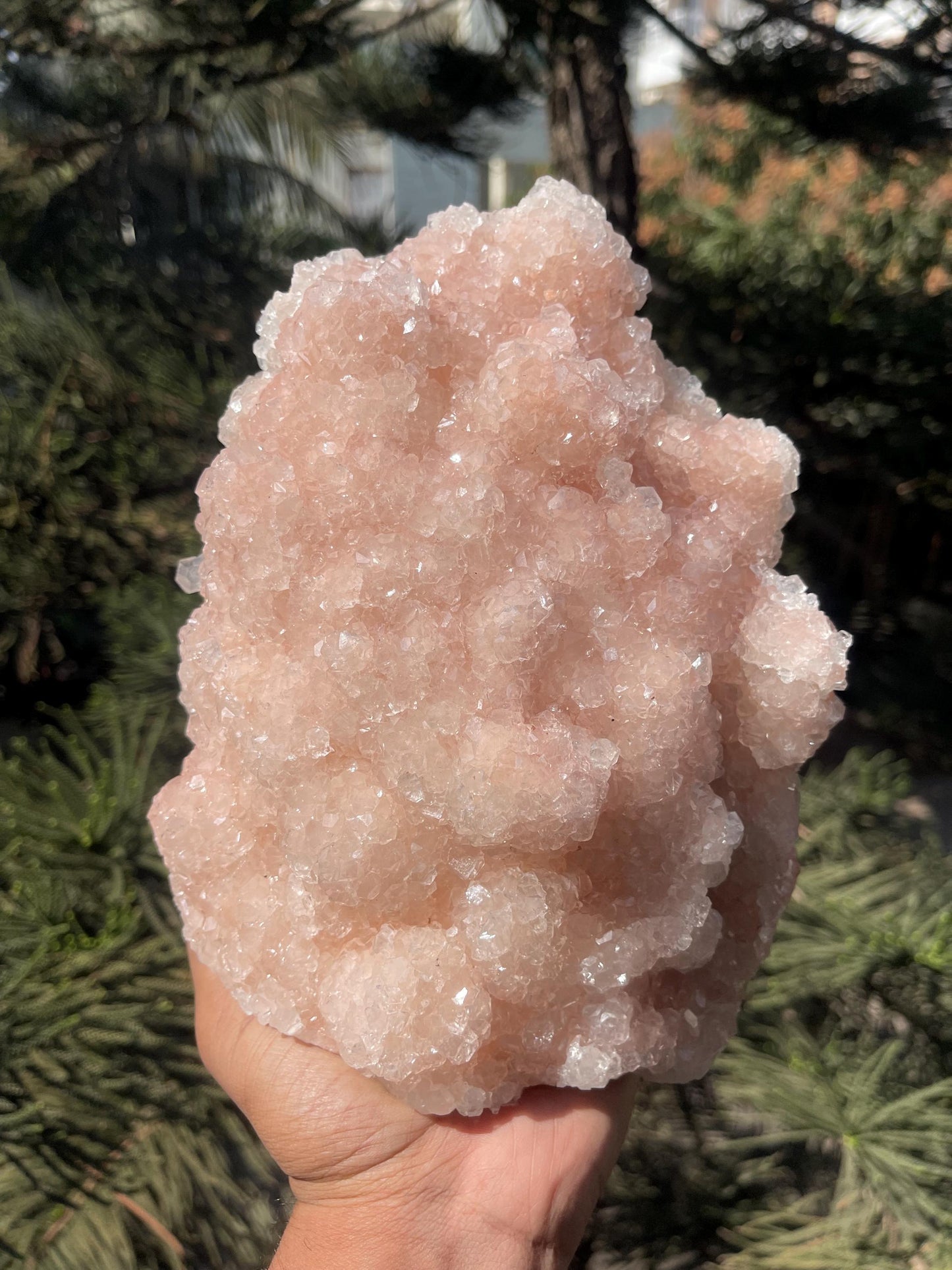 glossy pink apophyllite mineral specimen