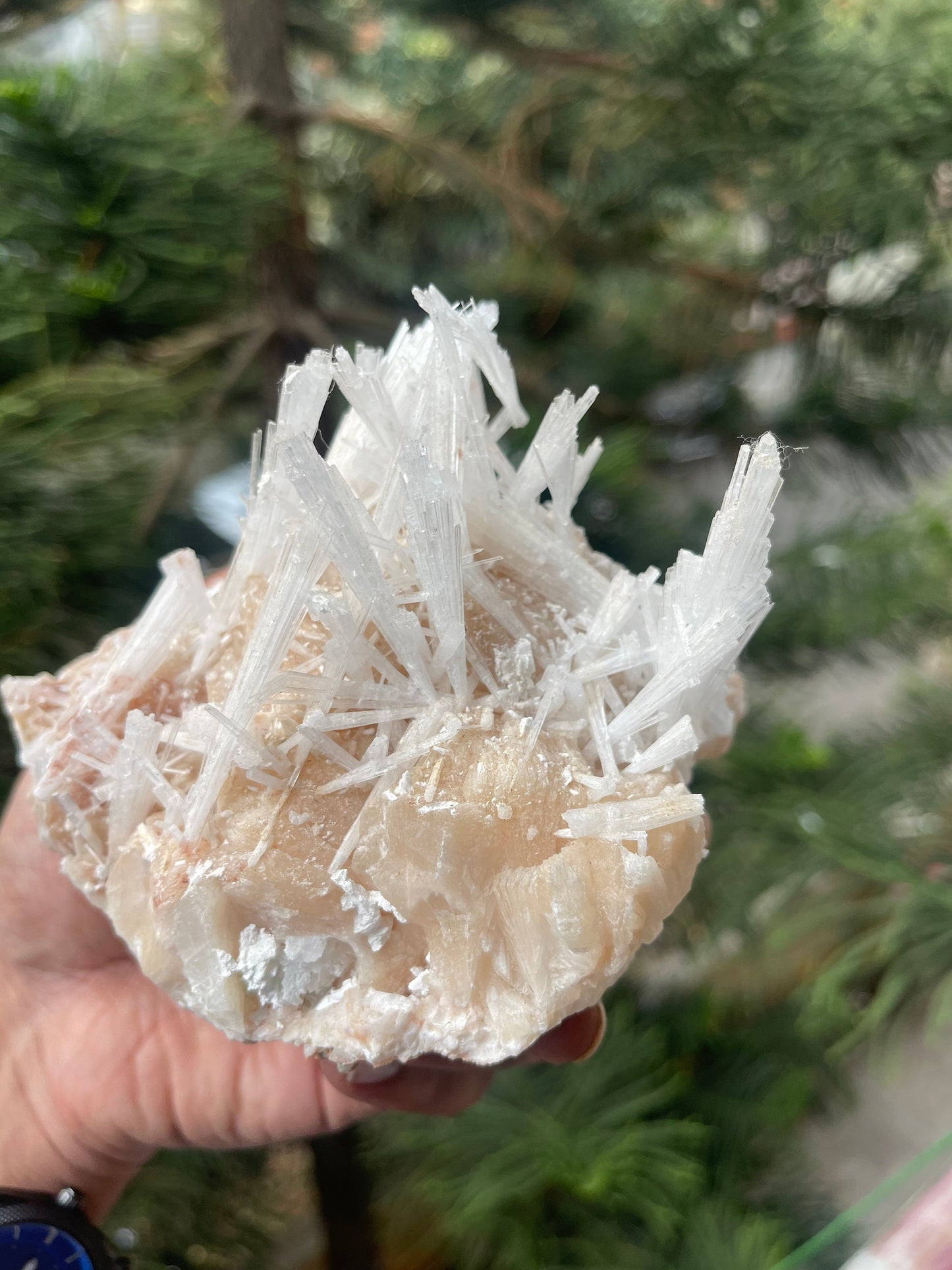 Scolecite spray on stilbite mineral