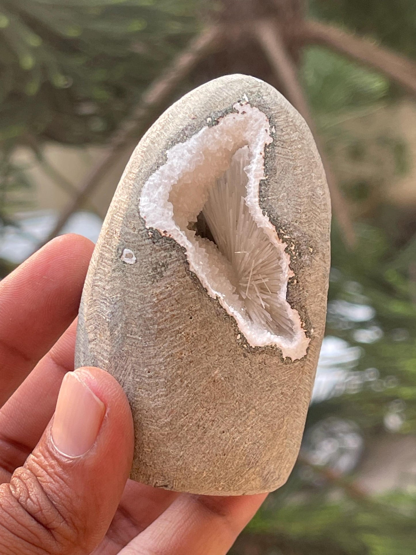 Scolecite flower inside geode