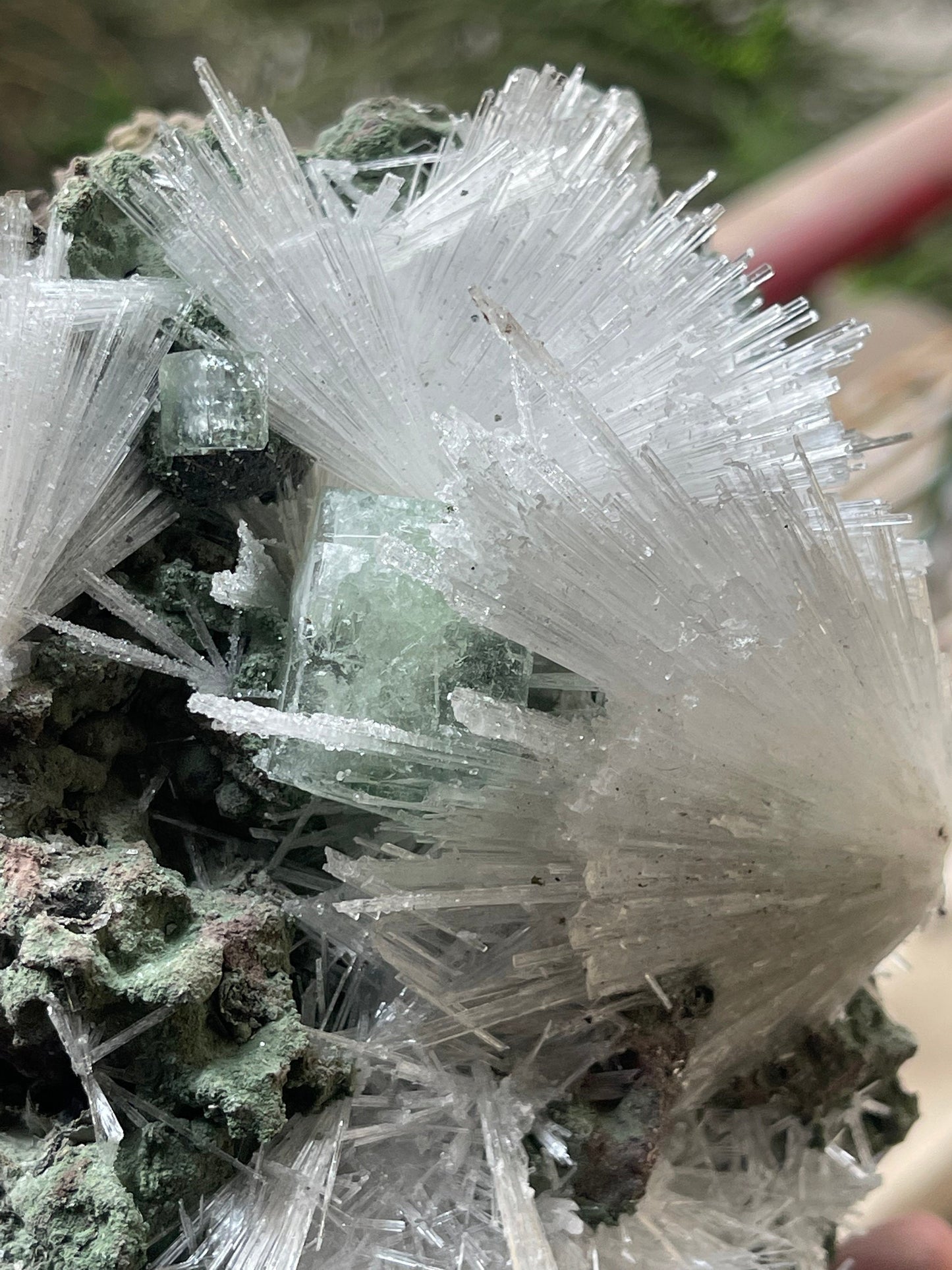 Scolecite flower with green apophyllite crystal on matrix