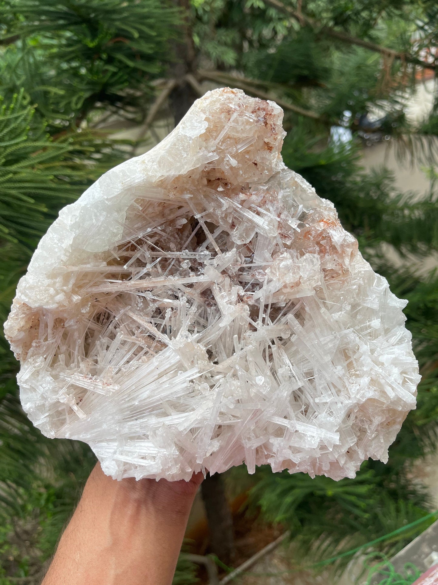 Clear apophyllite crystal on Glossy scolecite spray natural specimen