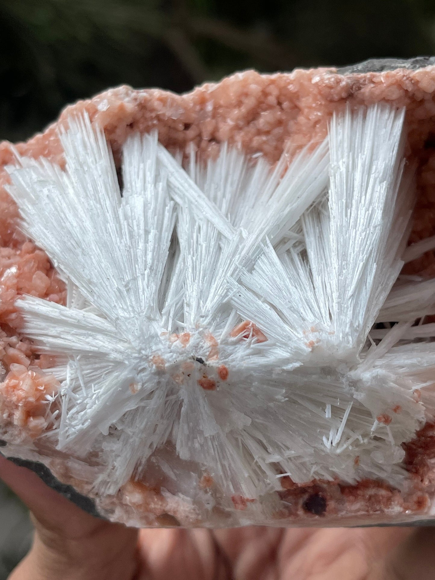 Scolecite sprays on orange heulandite matrix