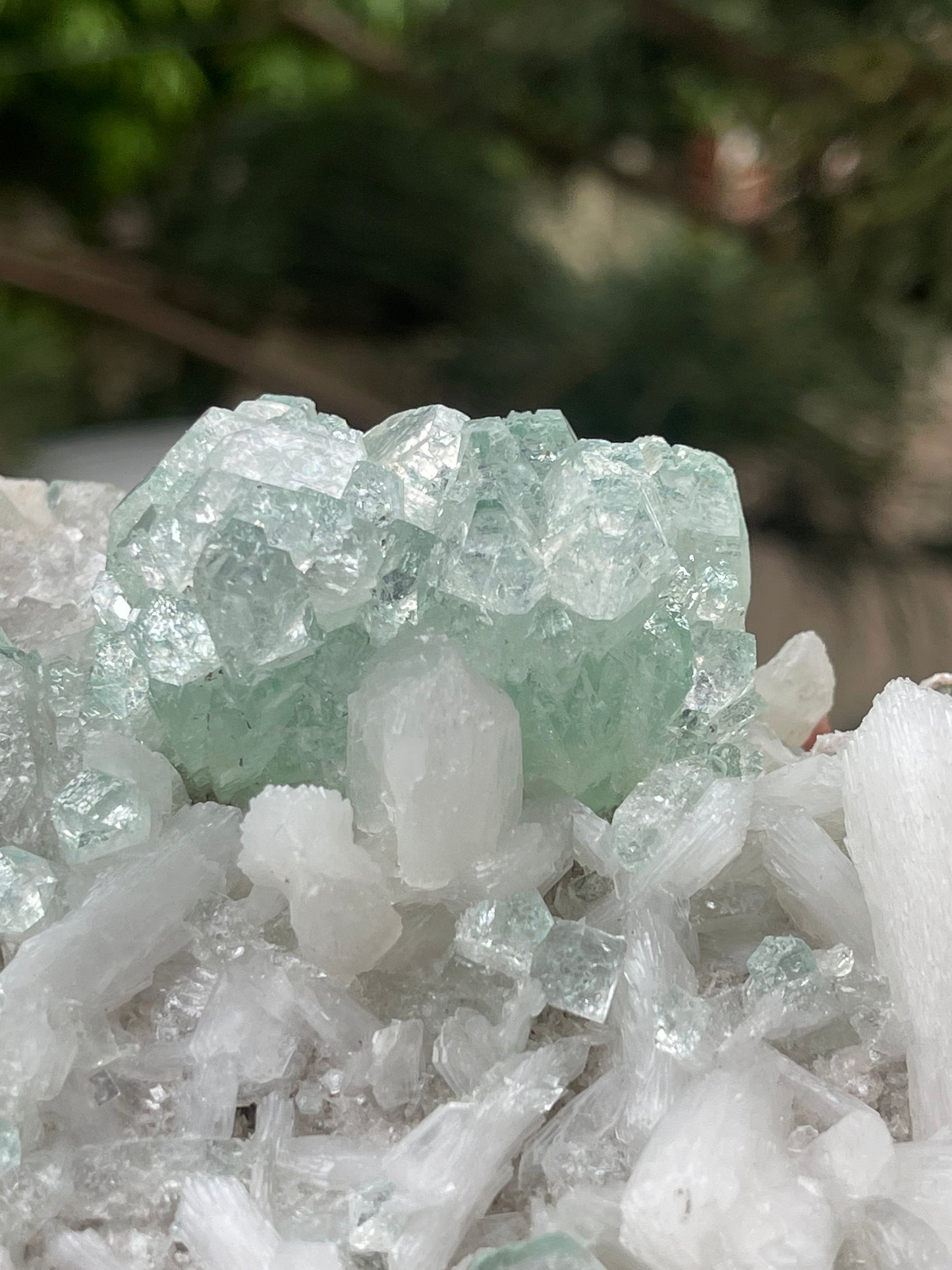 Green apophyllite crystals with stilbite