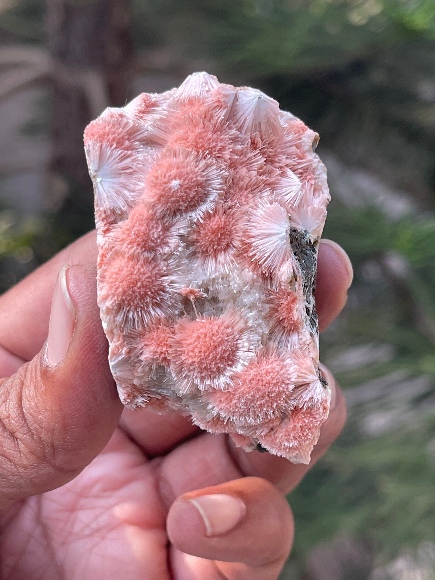 Multiple orange mesolite crystal