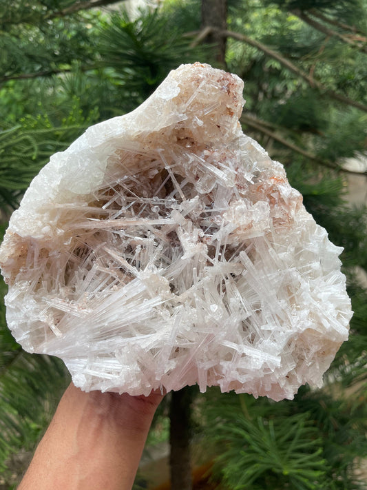 Clear apophyllite crystal on Glossy scolecite spray natural specimen